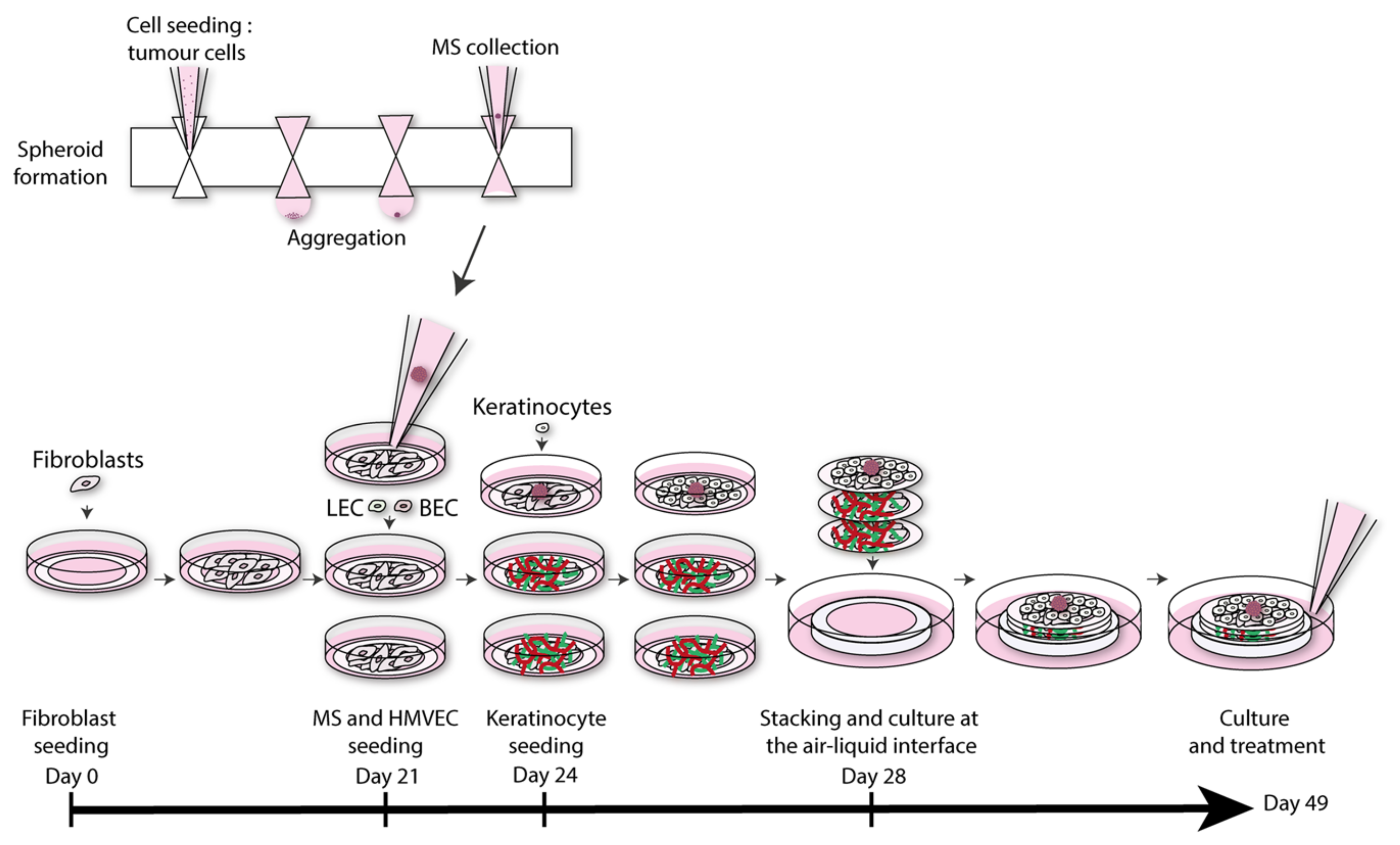 Pharmaceutics 14 00319 g004