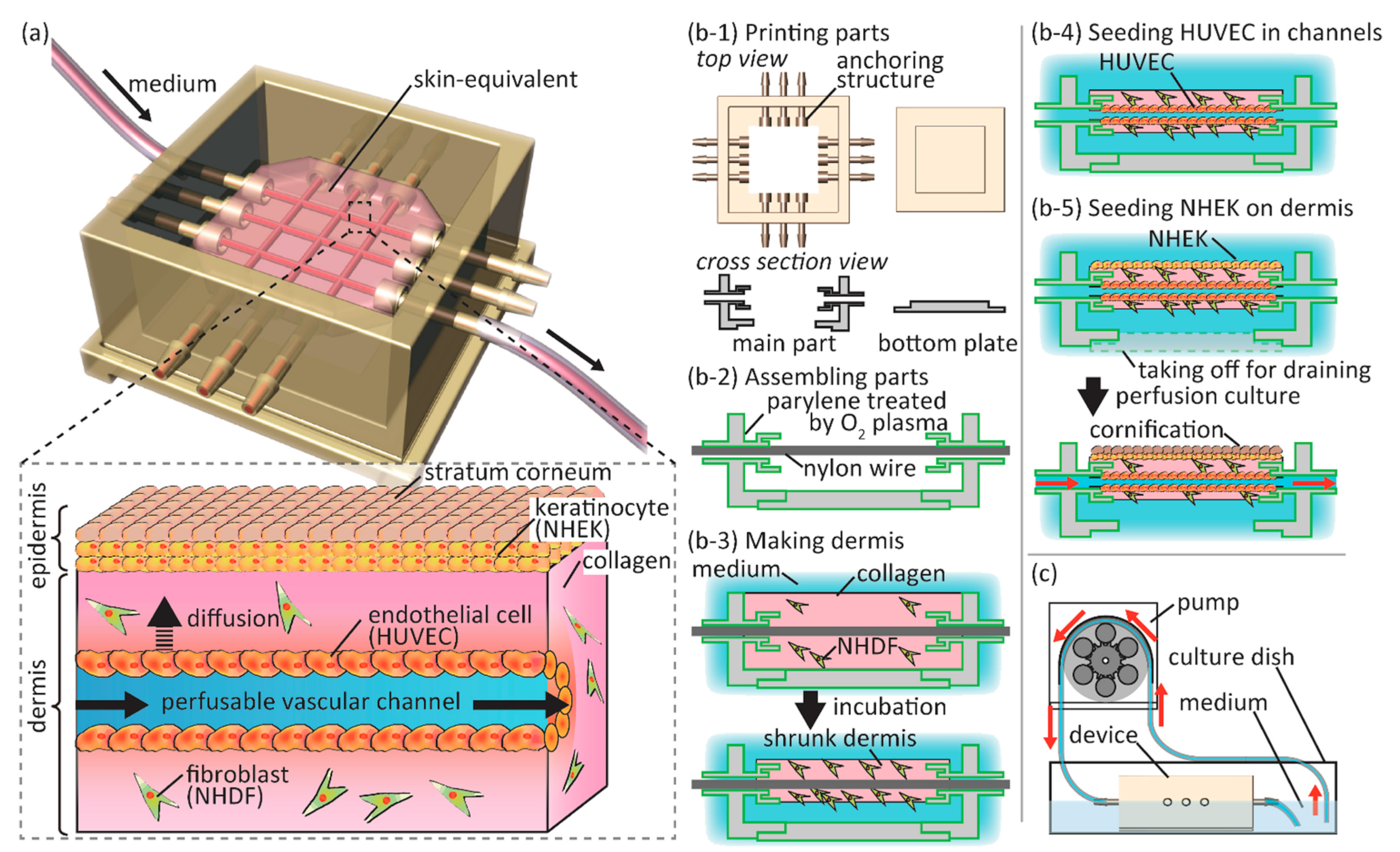 Pharmaceutics 14 00319 g005