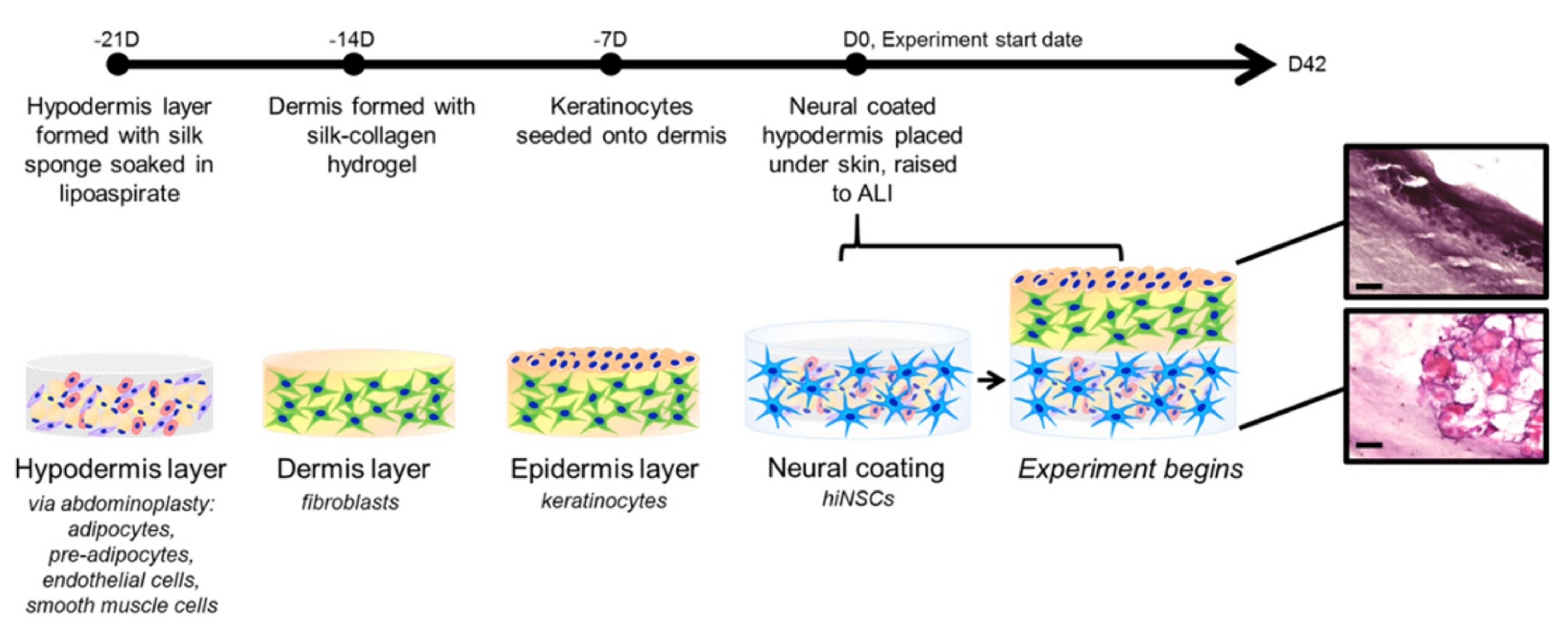 Pharmaceutics 14 00319 g006