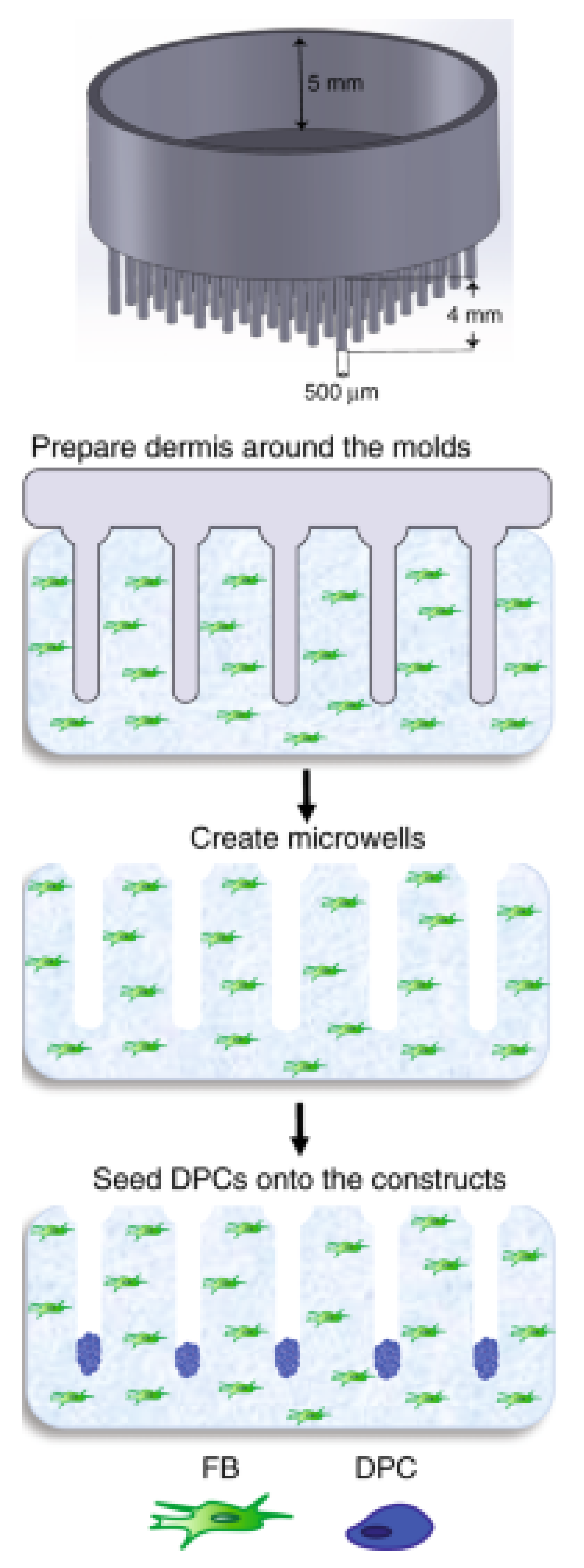 Pharmaceutics 14 00319 g007