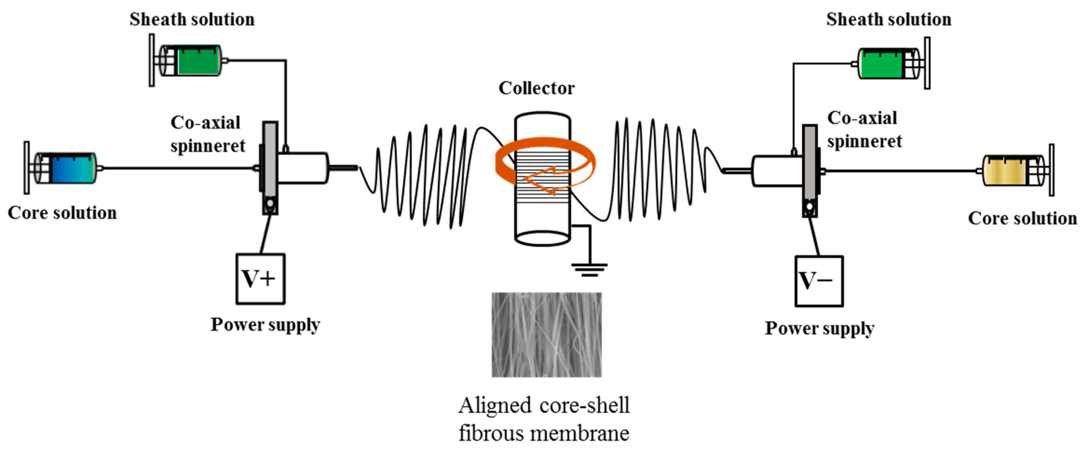 Pharmaceutics 14 00321 g001 Pharmaceutics 14 00321 g001