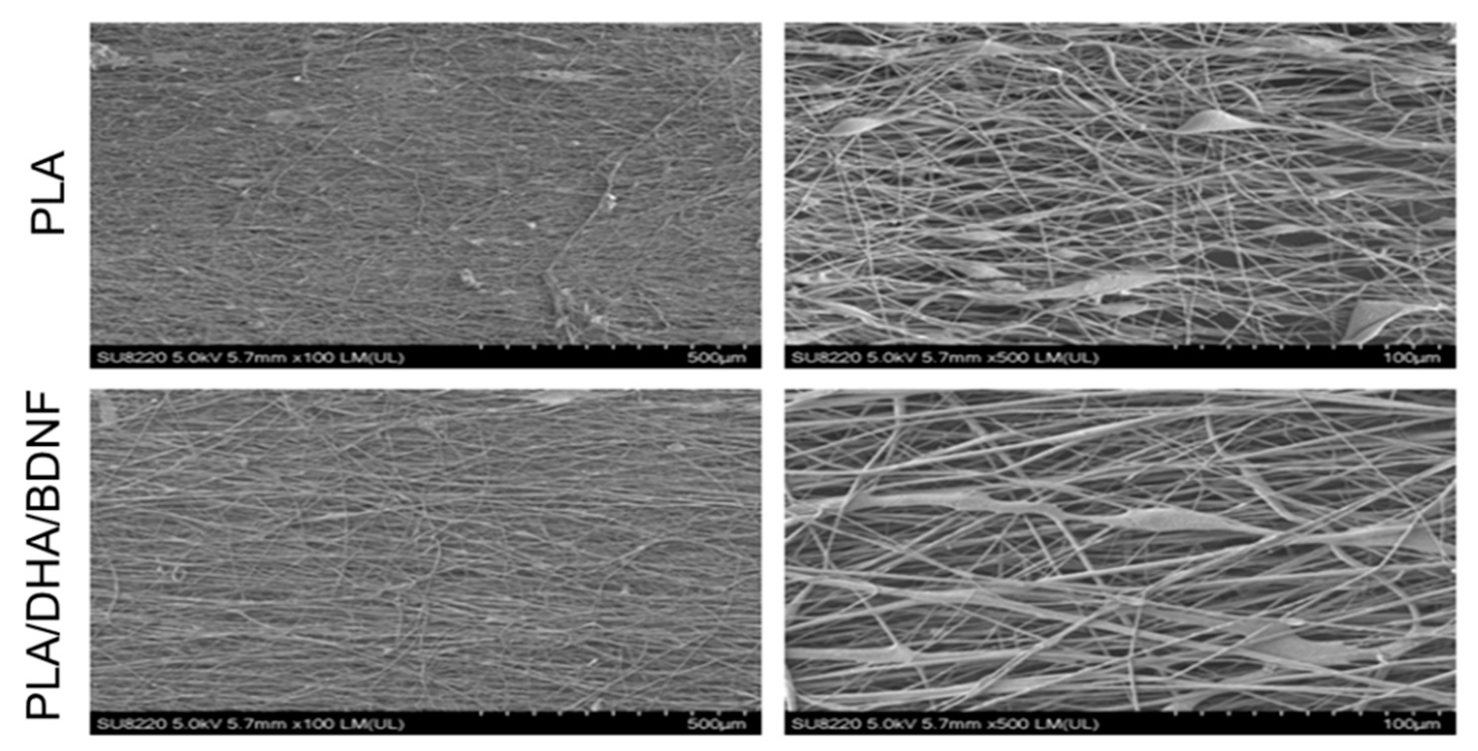 Pharmaceutics 14 00321 g005 Pharmaceutics 14 00321 g005