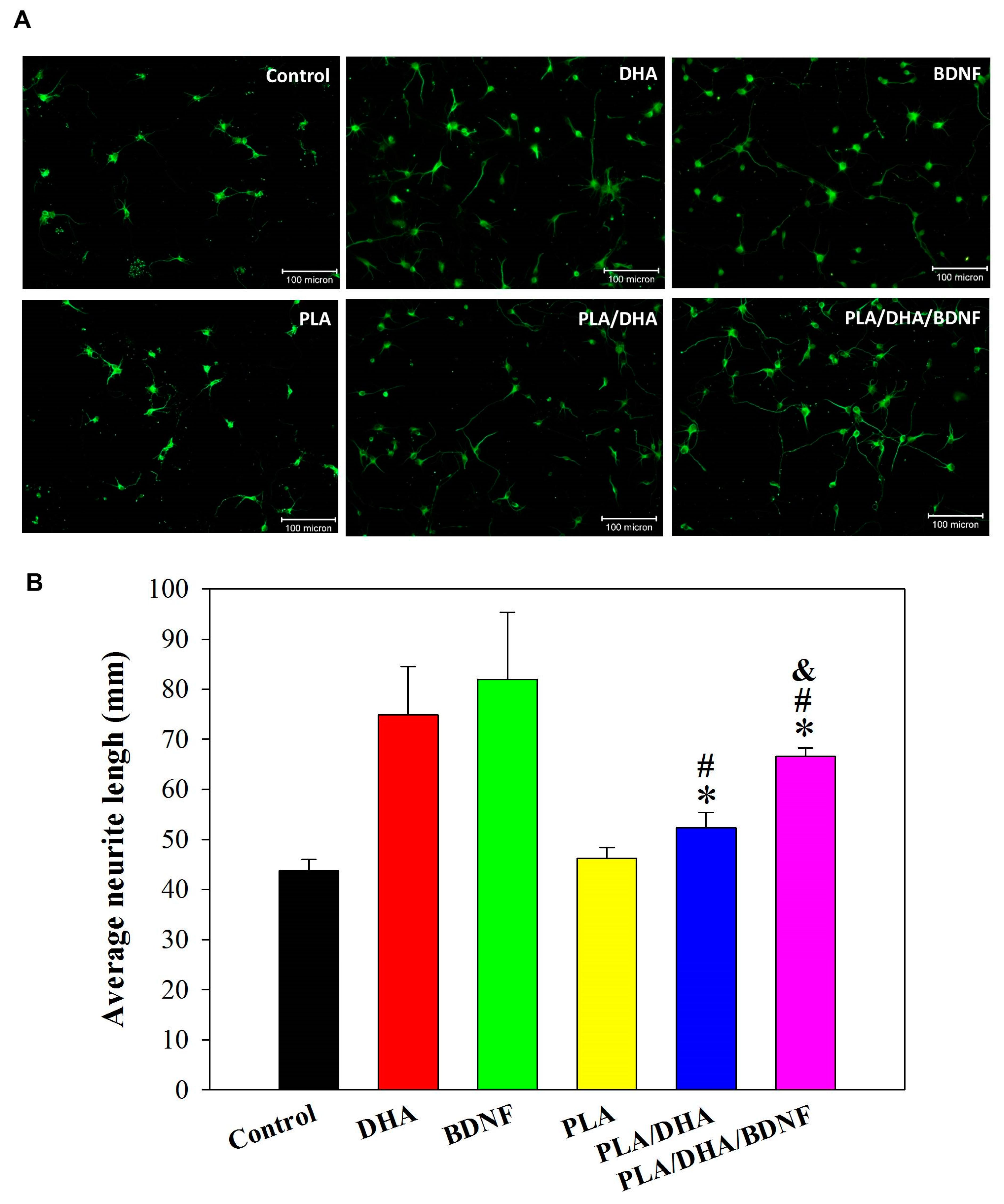 Pharmaceutics 14 00321 g006 Pharmaceutics 14 00321 g006