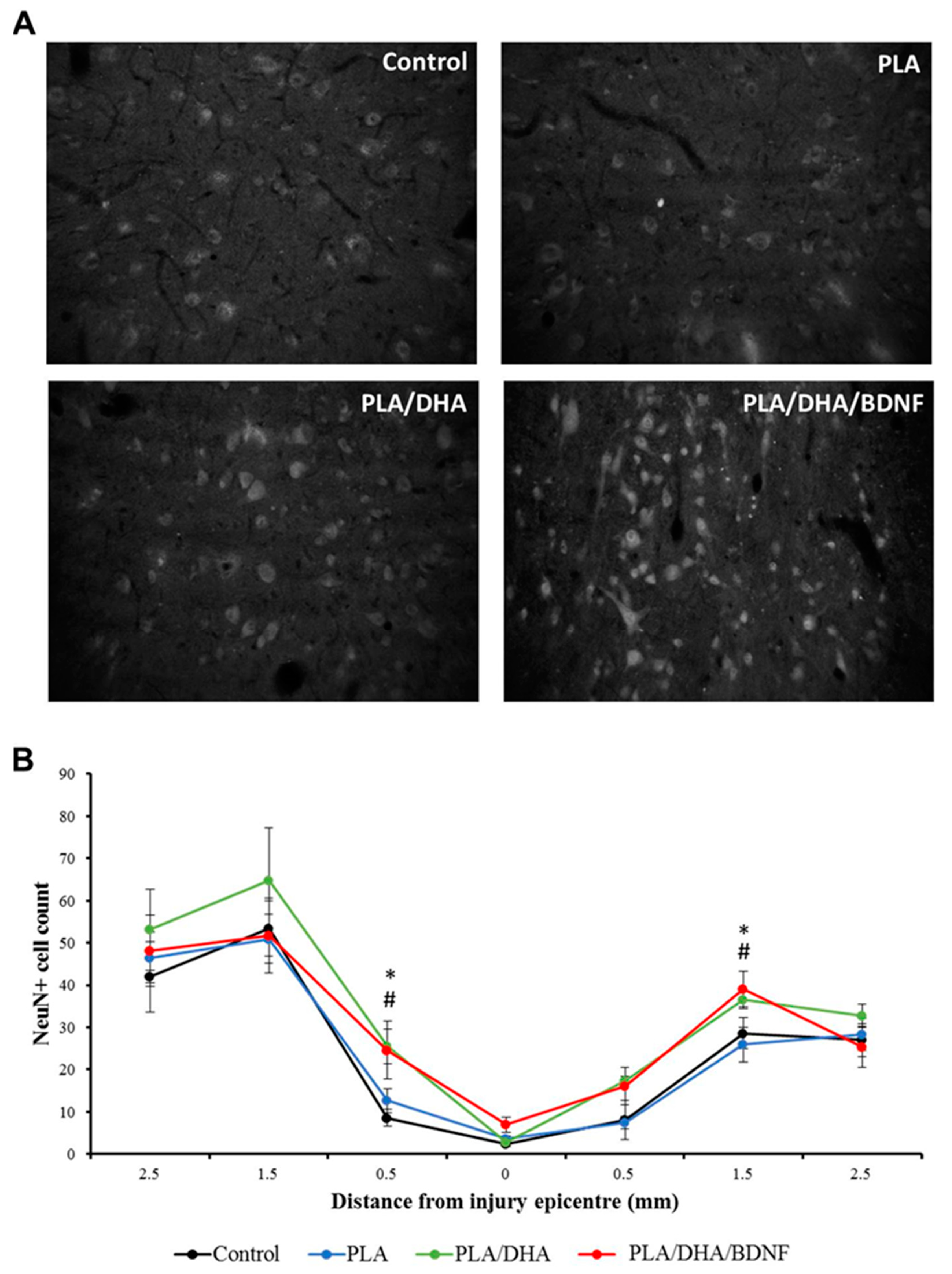 Pharmaceutics 14 00321 g010 Pharmaceutics 14 00321 g010