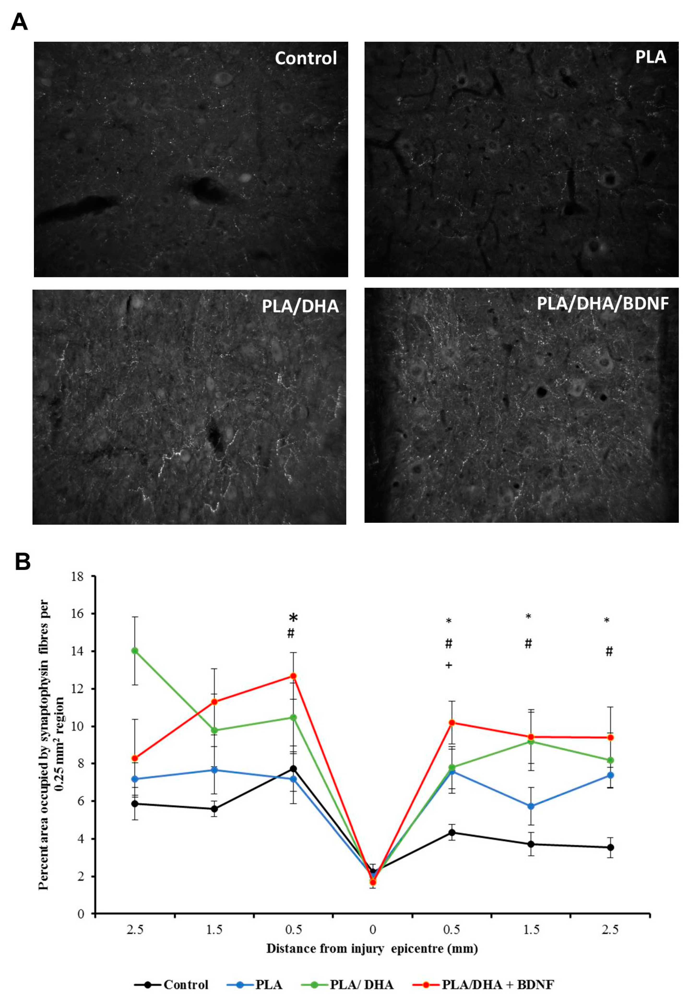 Pharmaceutics 14 00321 g011 Pharmaceutics 14 00321 g011