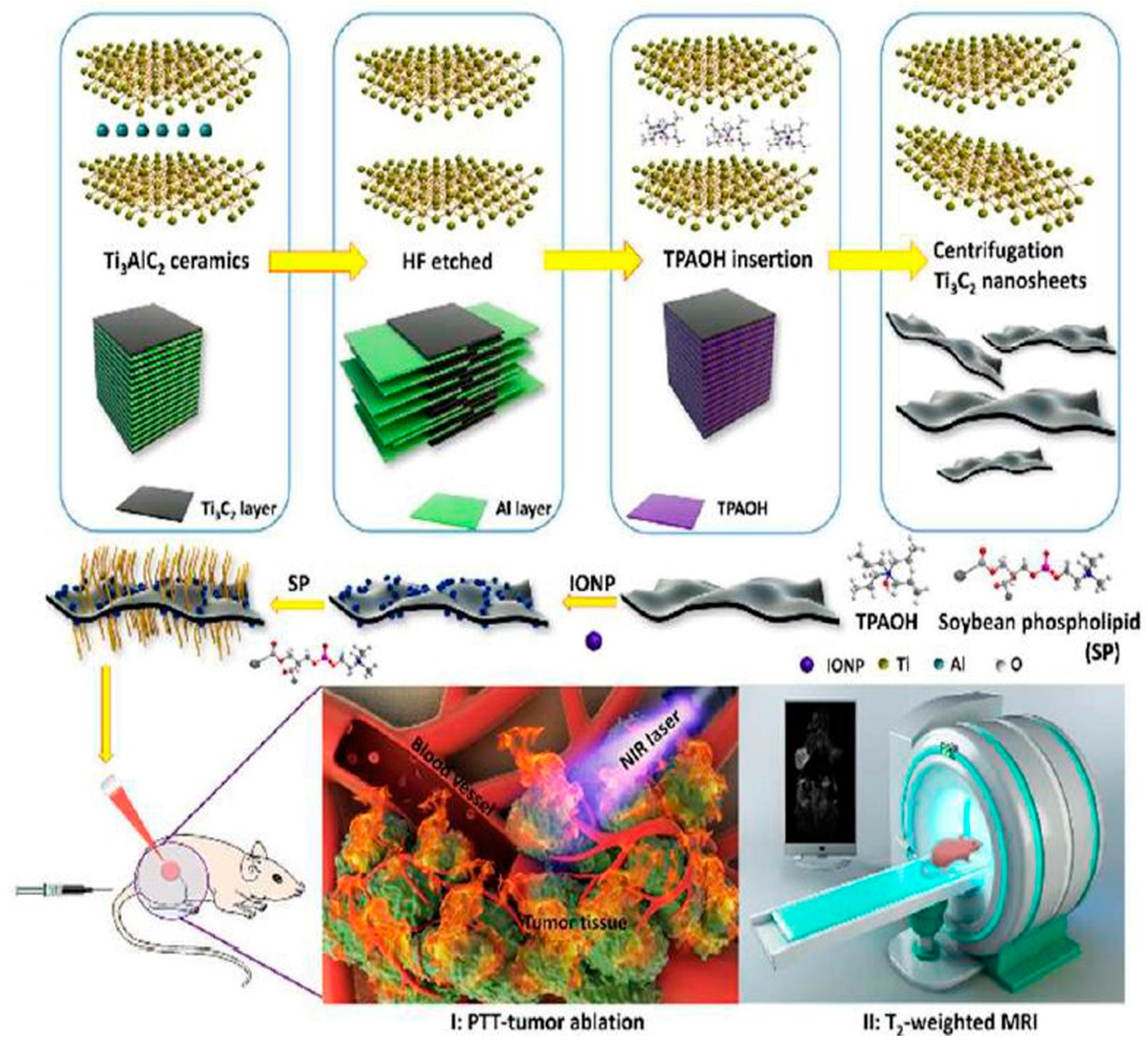 Pharmaceutics 14 00322 g002