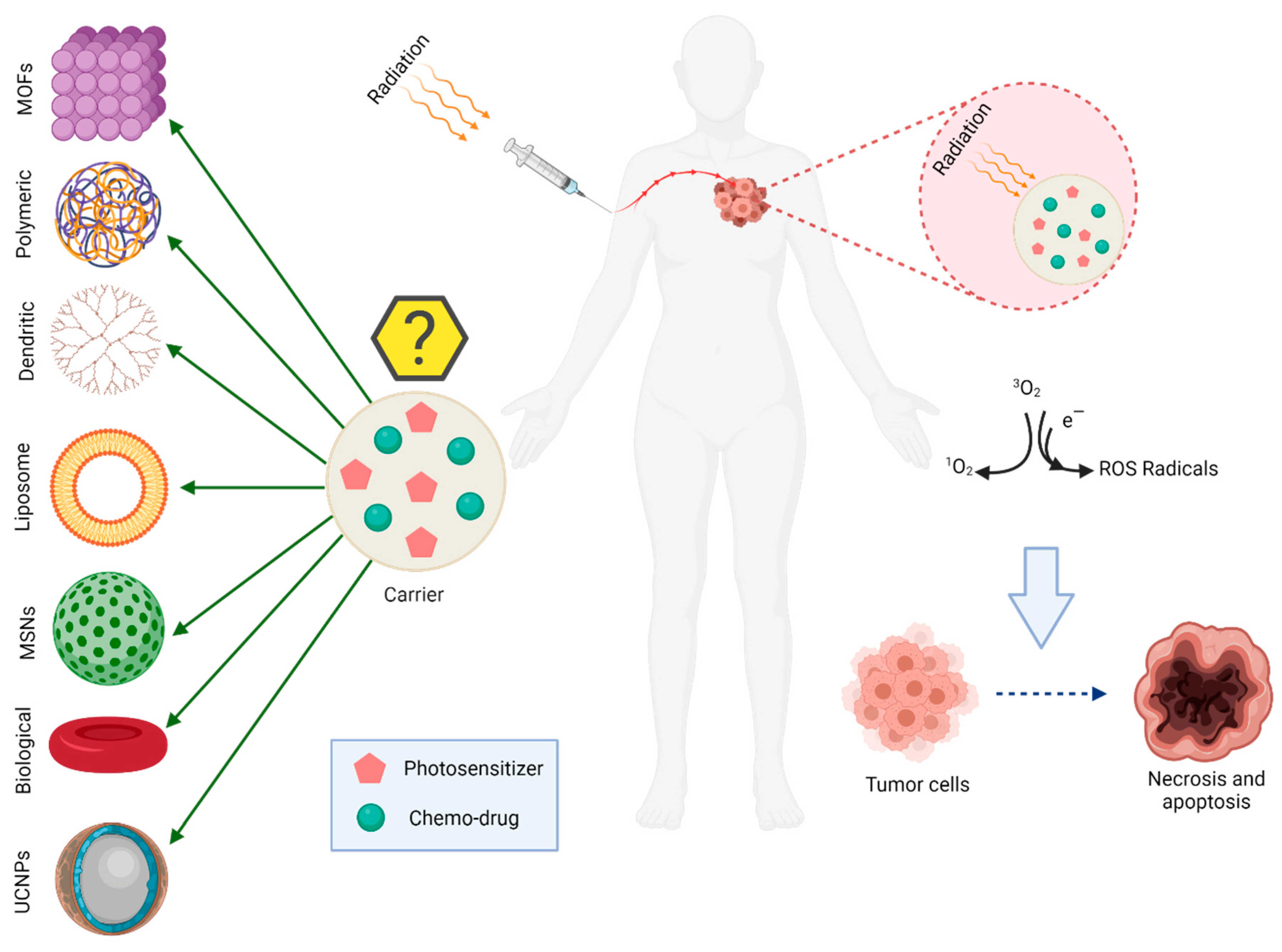 Pharmaceutics 14 00322 g004