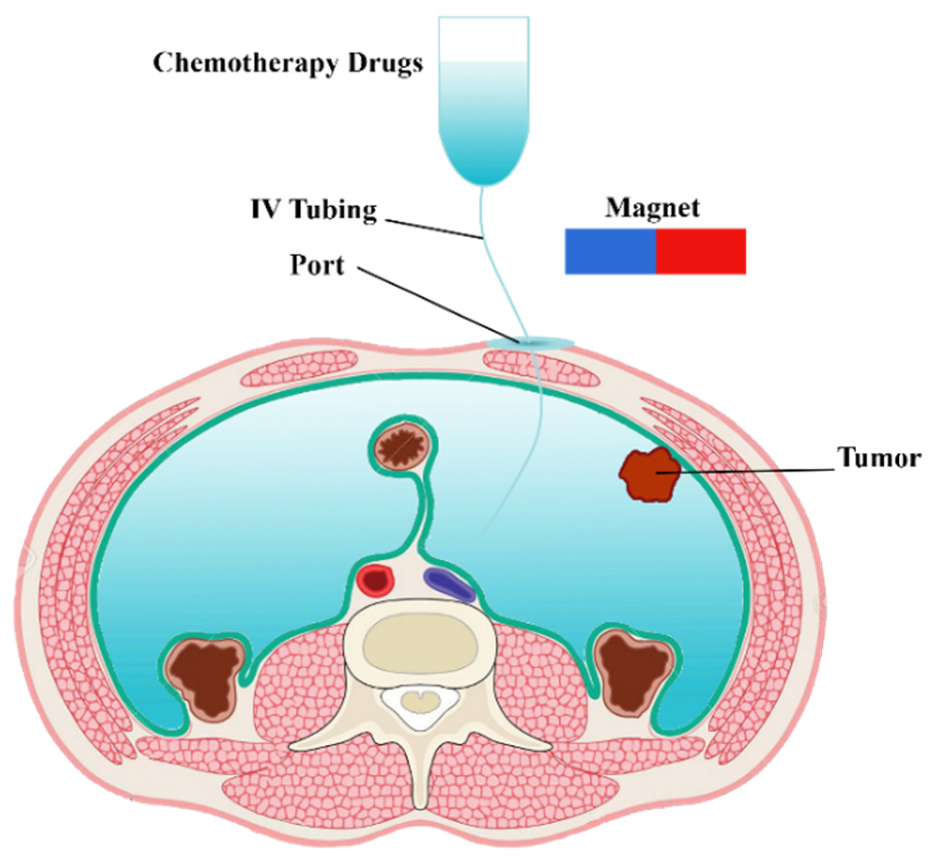 Pharmaceutics 14 00324 g001