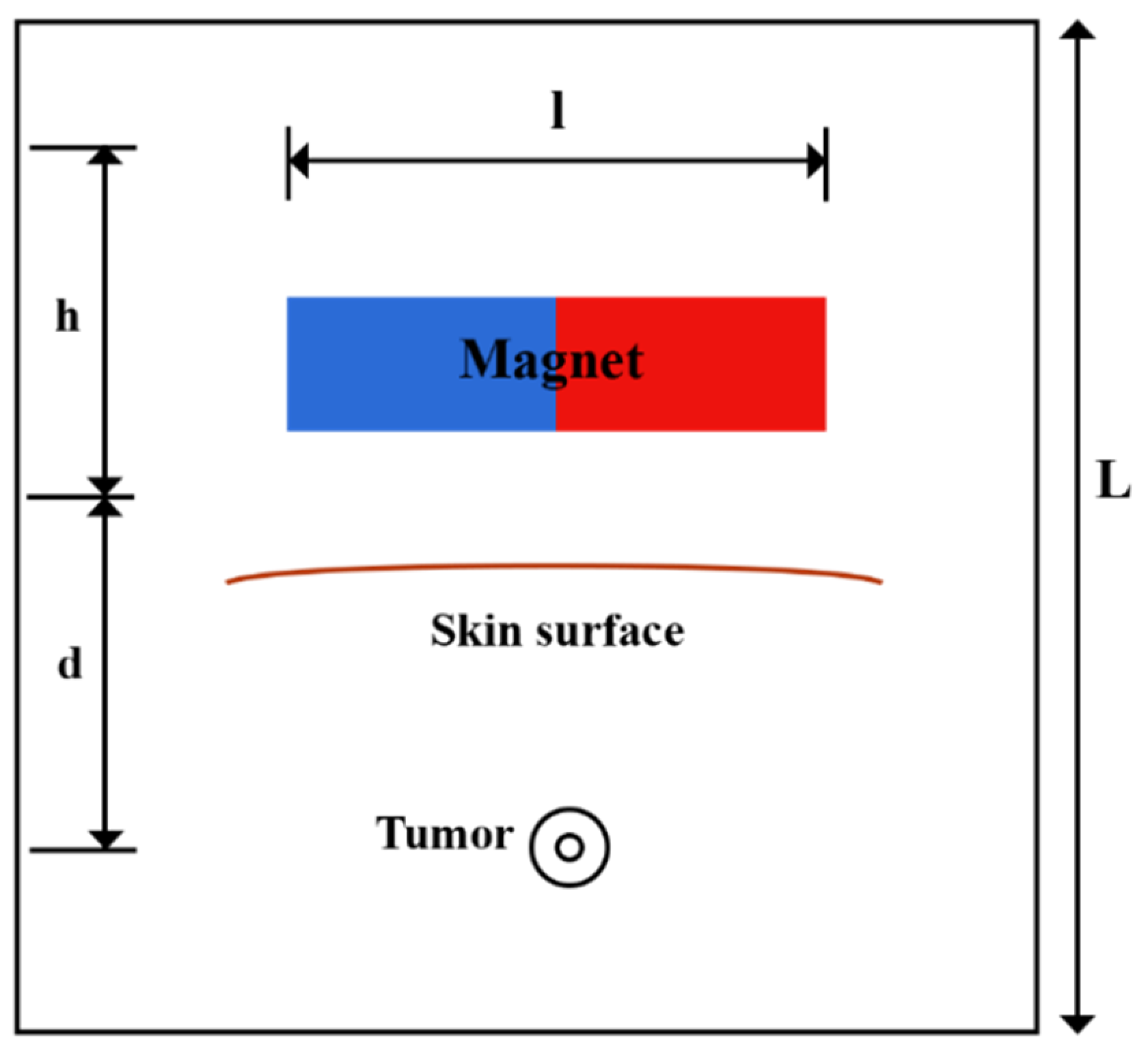 Pharmaceutics 14 00324 g002