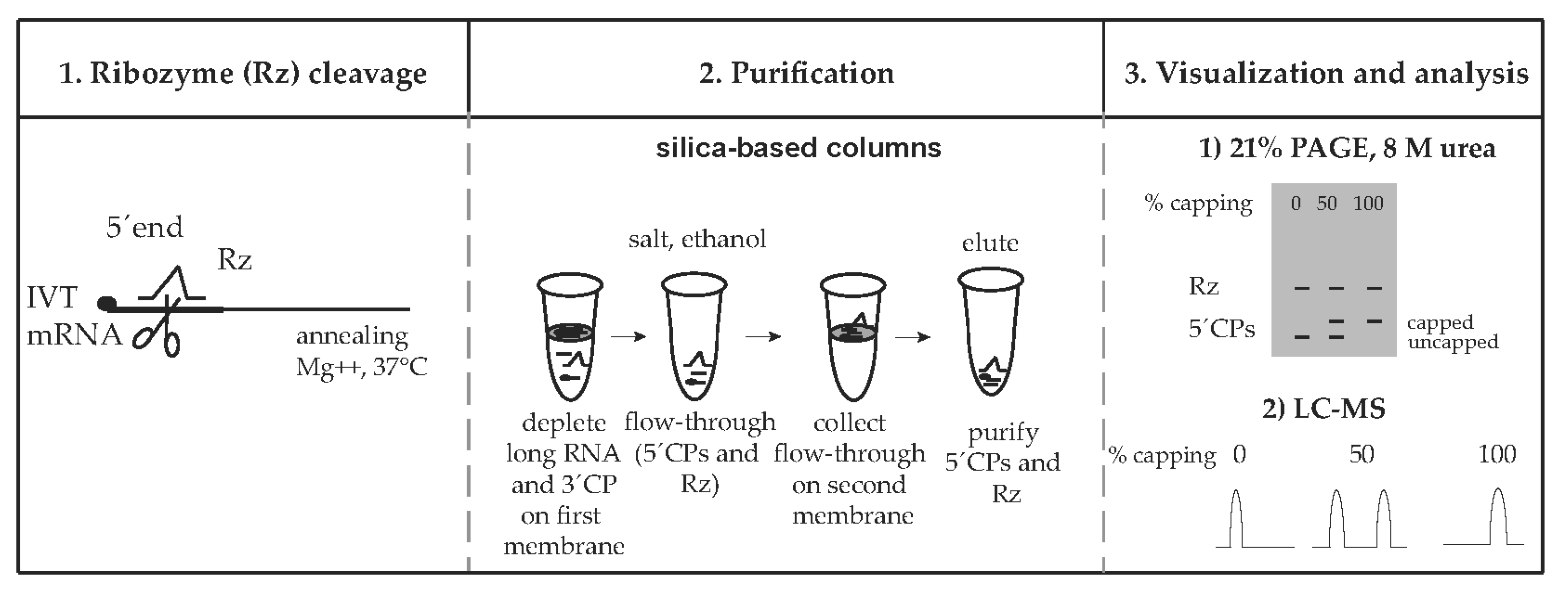 Pharmaceutics 14 00328 g001