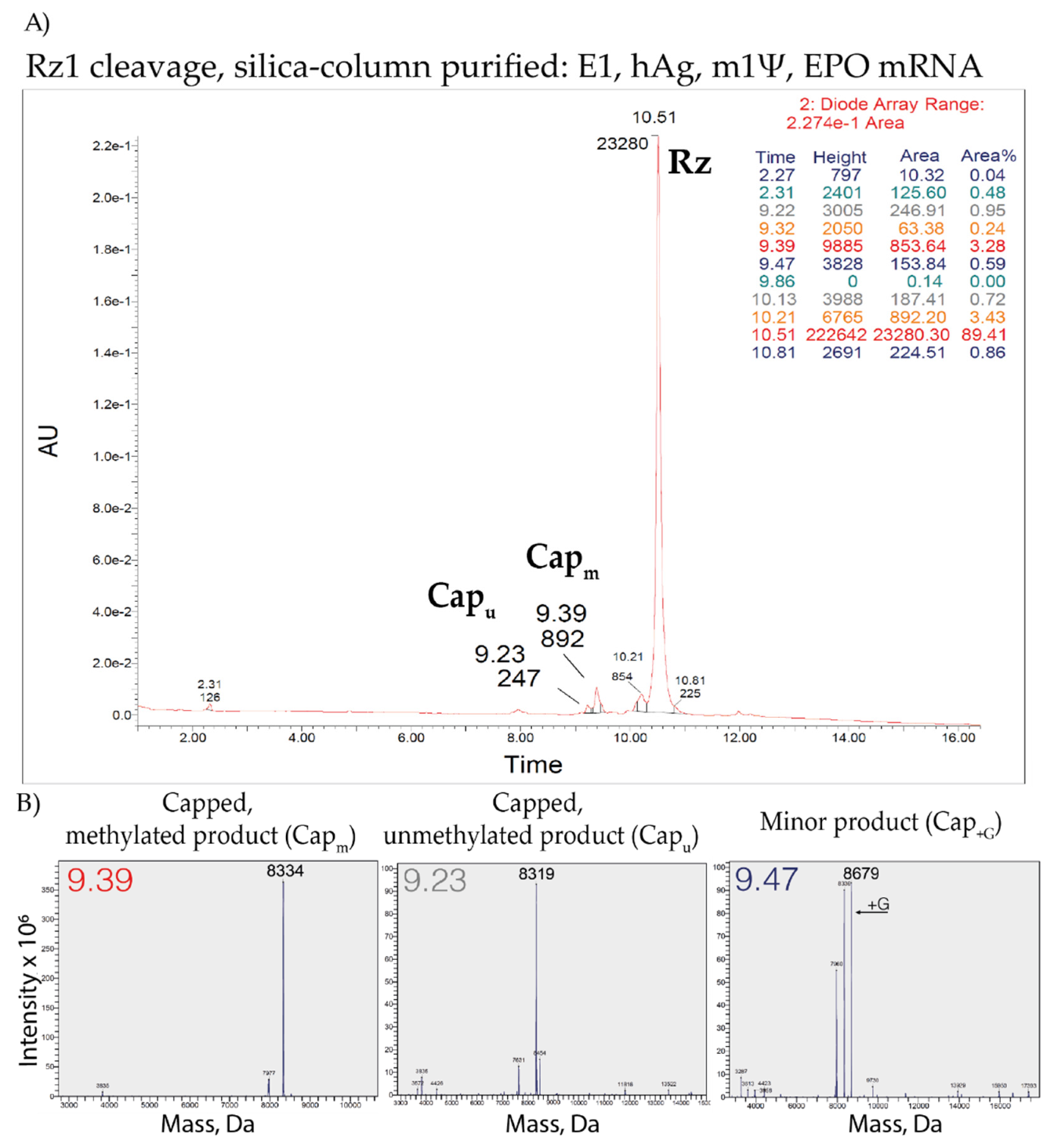 Pharmaceutics 14 00328 g007