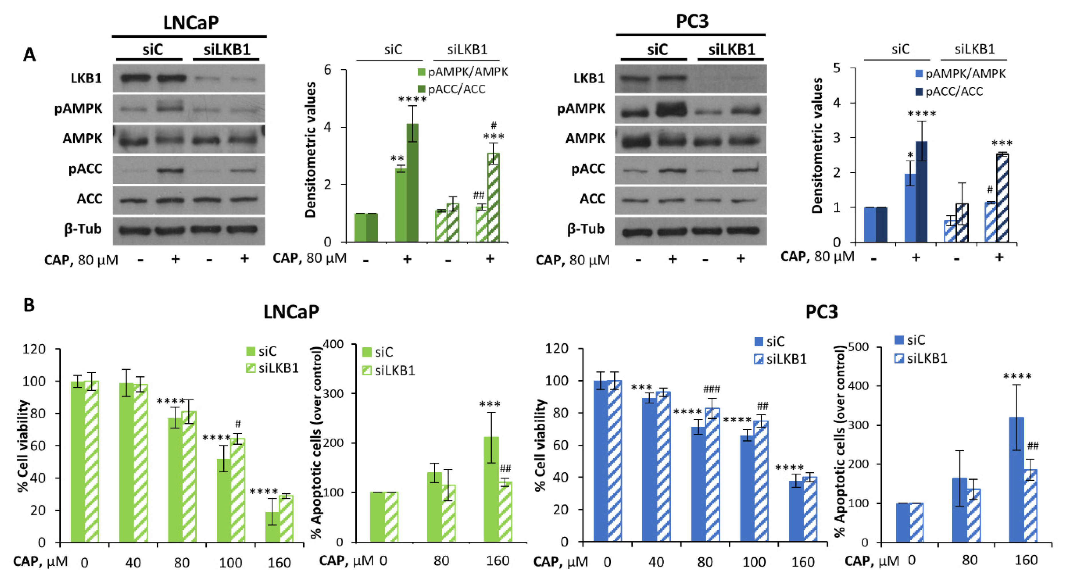 Pharmaceutics 14 00329 g003