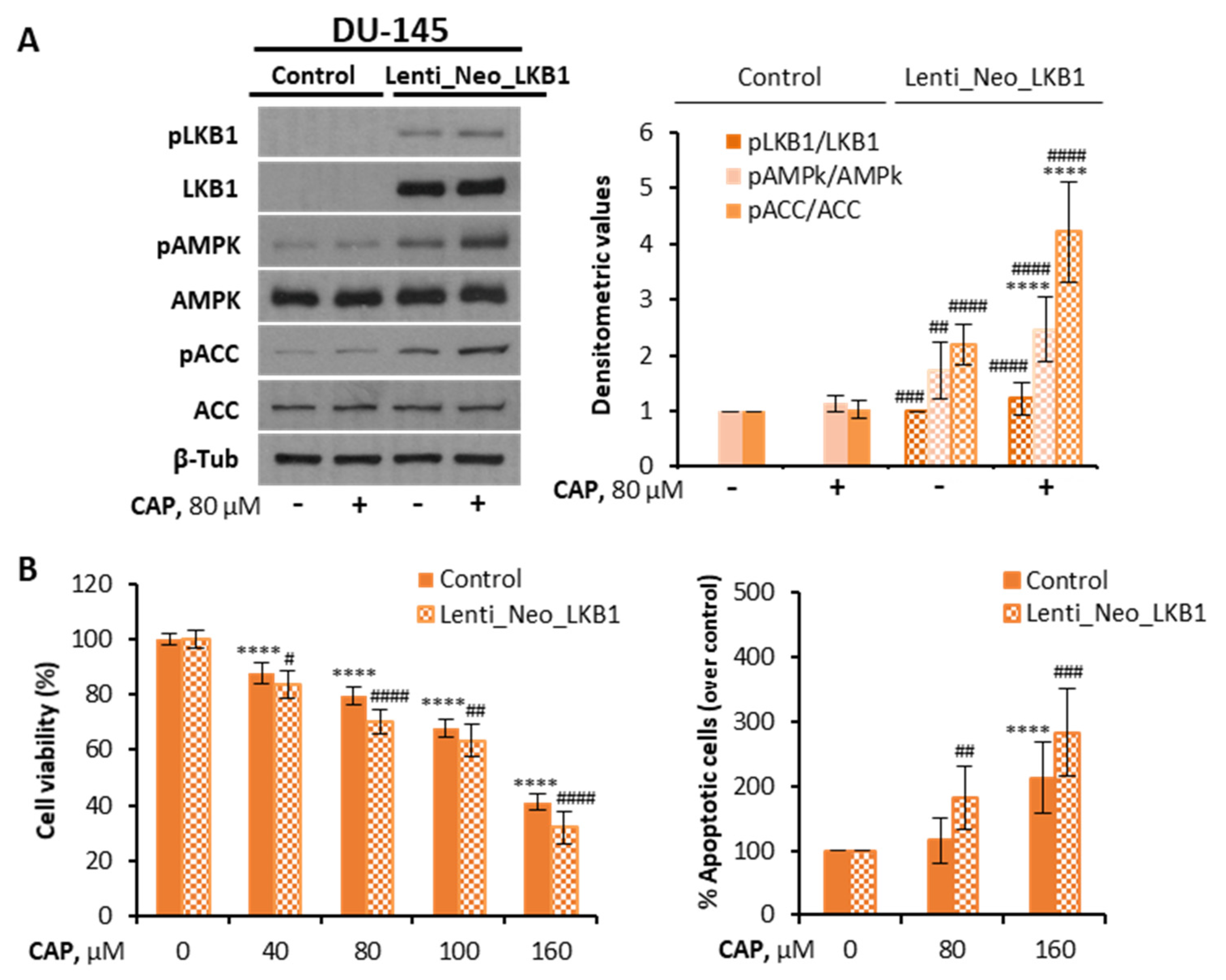 Pharmaceutics 14 00329 g004