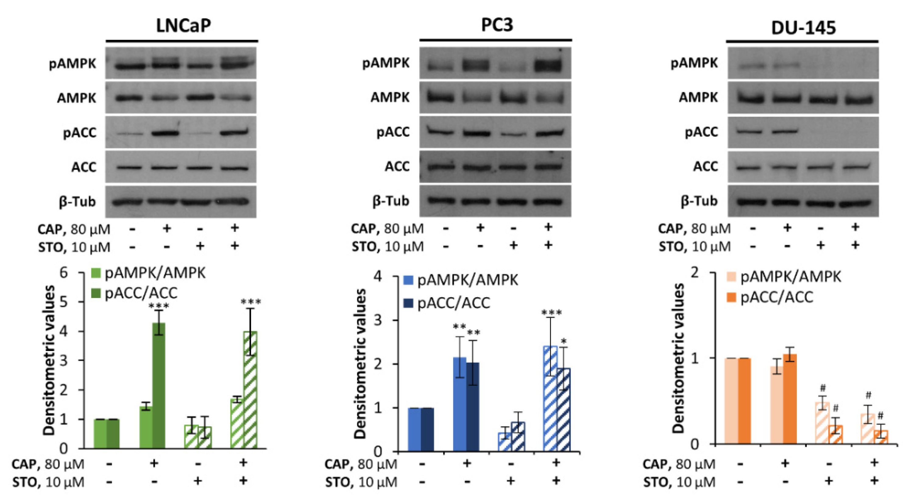 Pharmaceutics 14 00329 g005