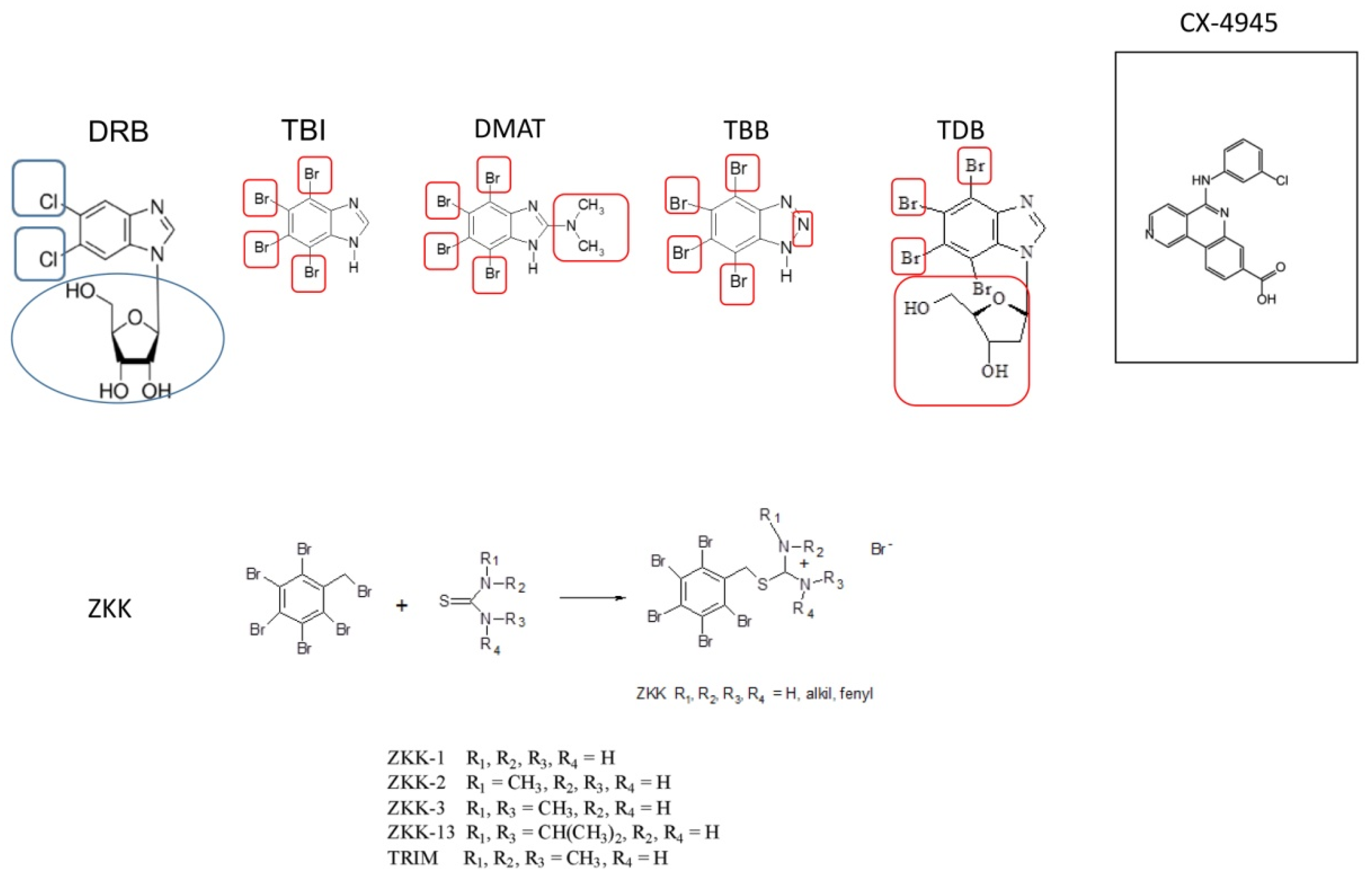 Pharmaceutics 14 00331 g002