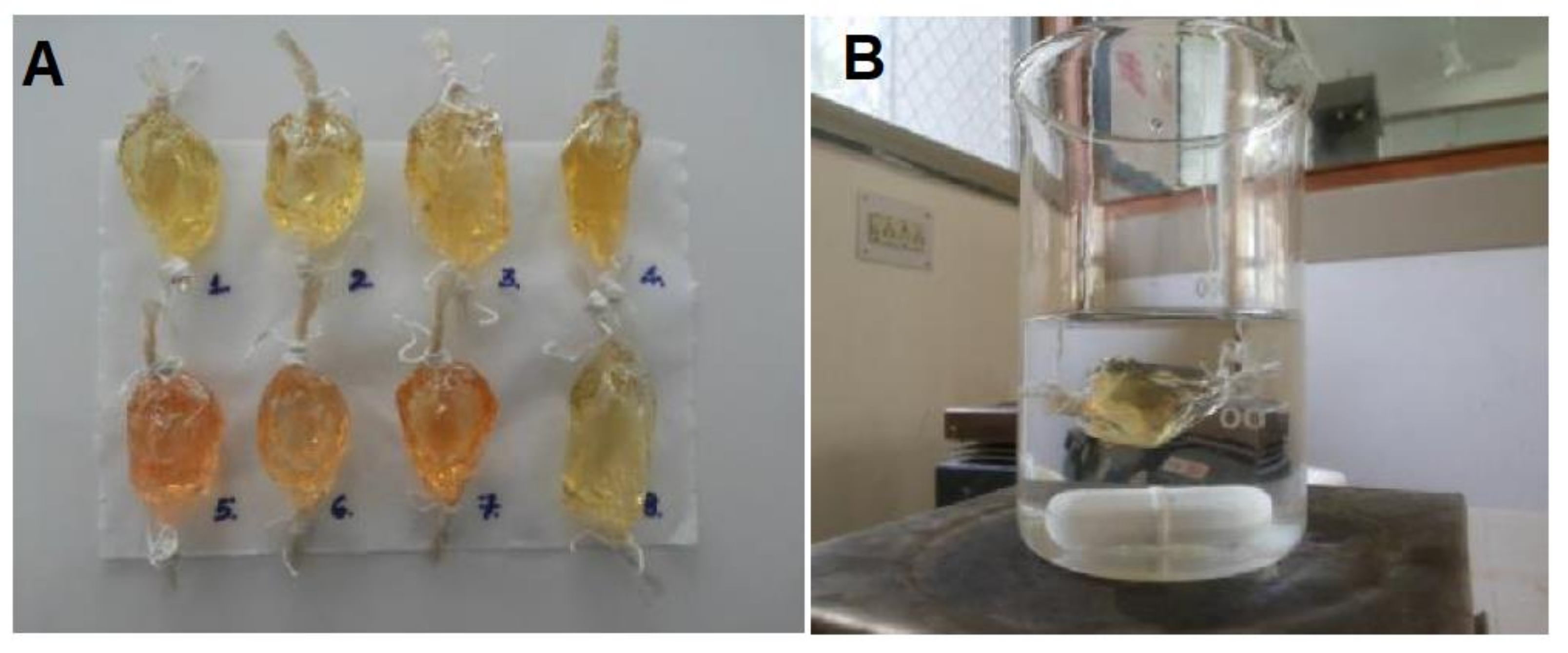 Pharmaceutics 14 00336 g001