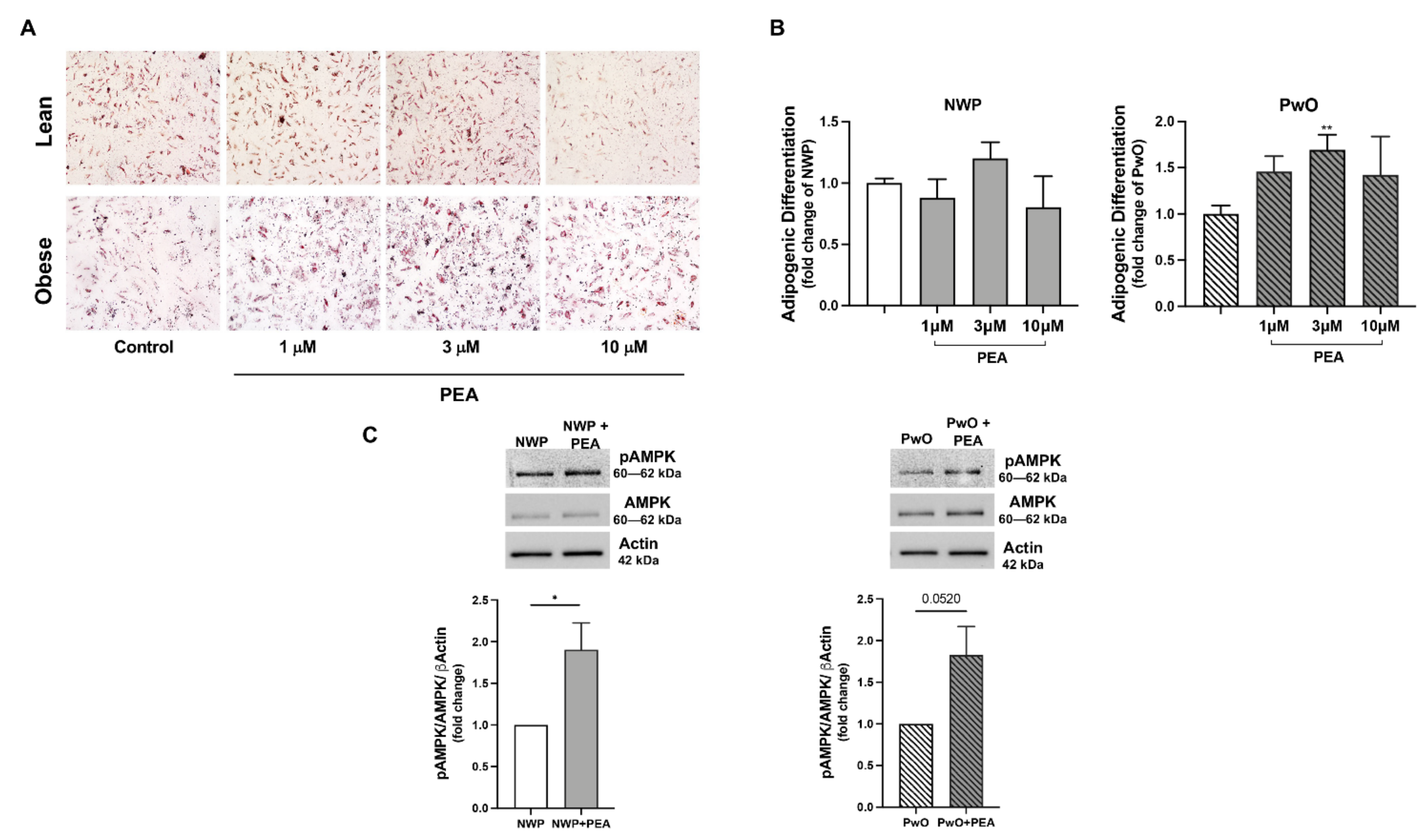 Pharmaceutics 14 00338 g005 Pharmaceutics 14 00338 g005