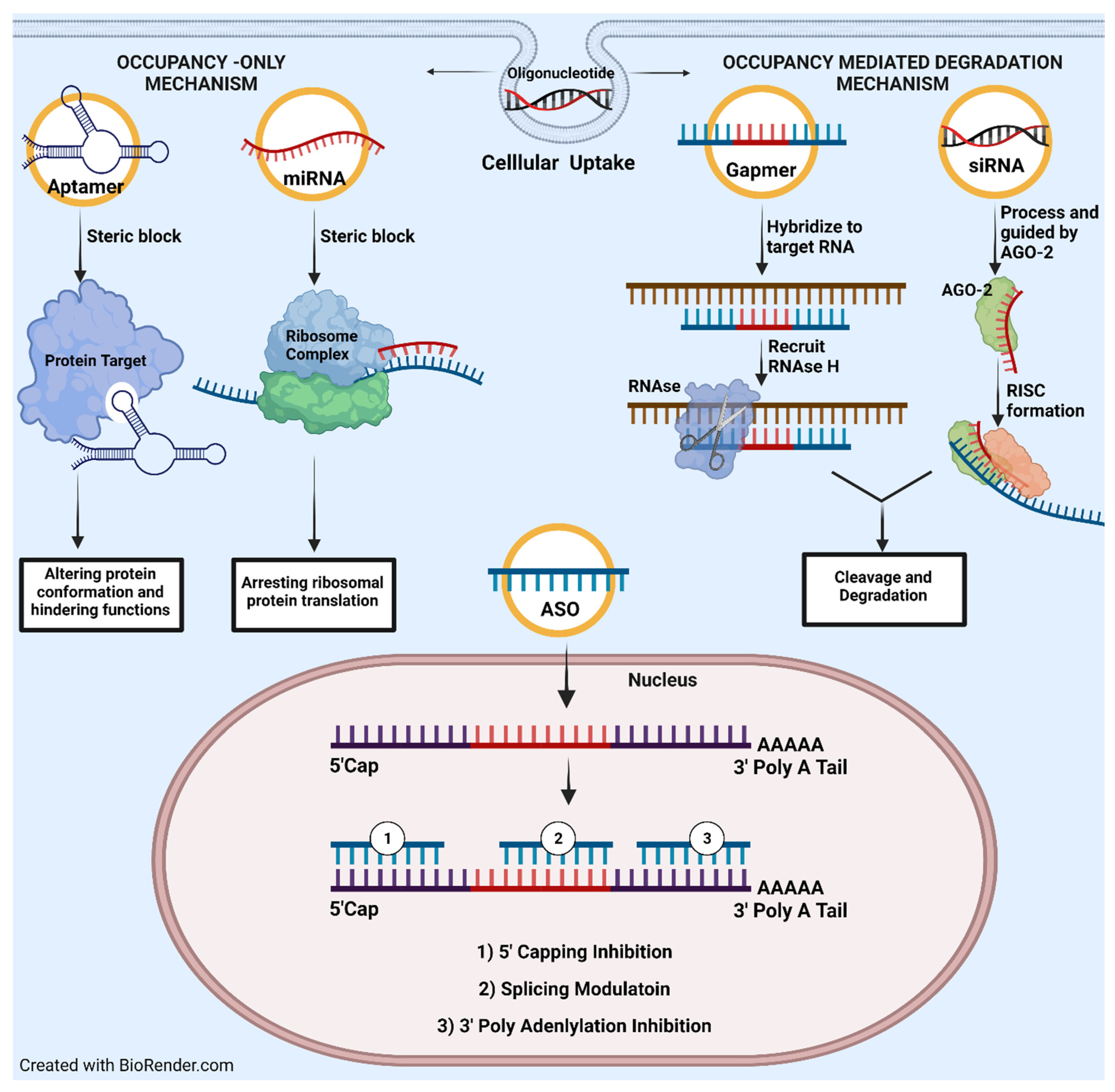 Pharmaceutics 14 00342 g002