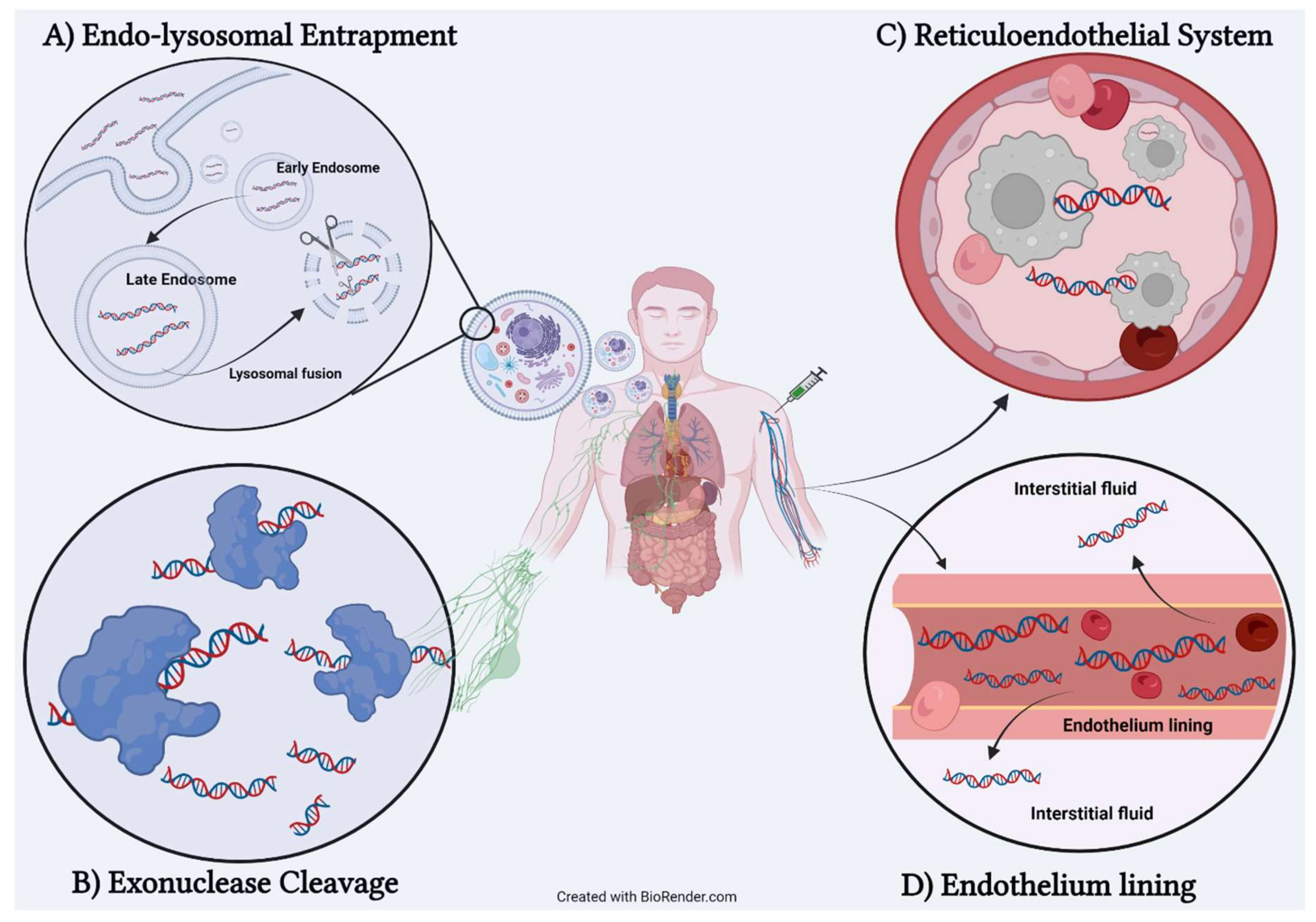 Pharmaceutics 14 00342 g003