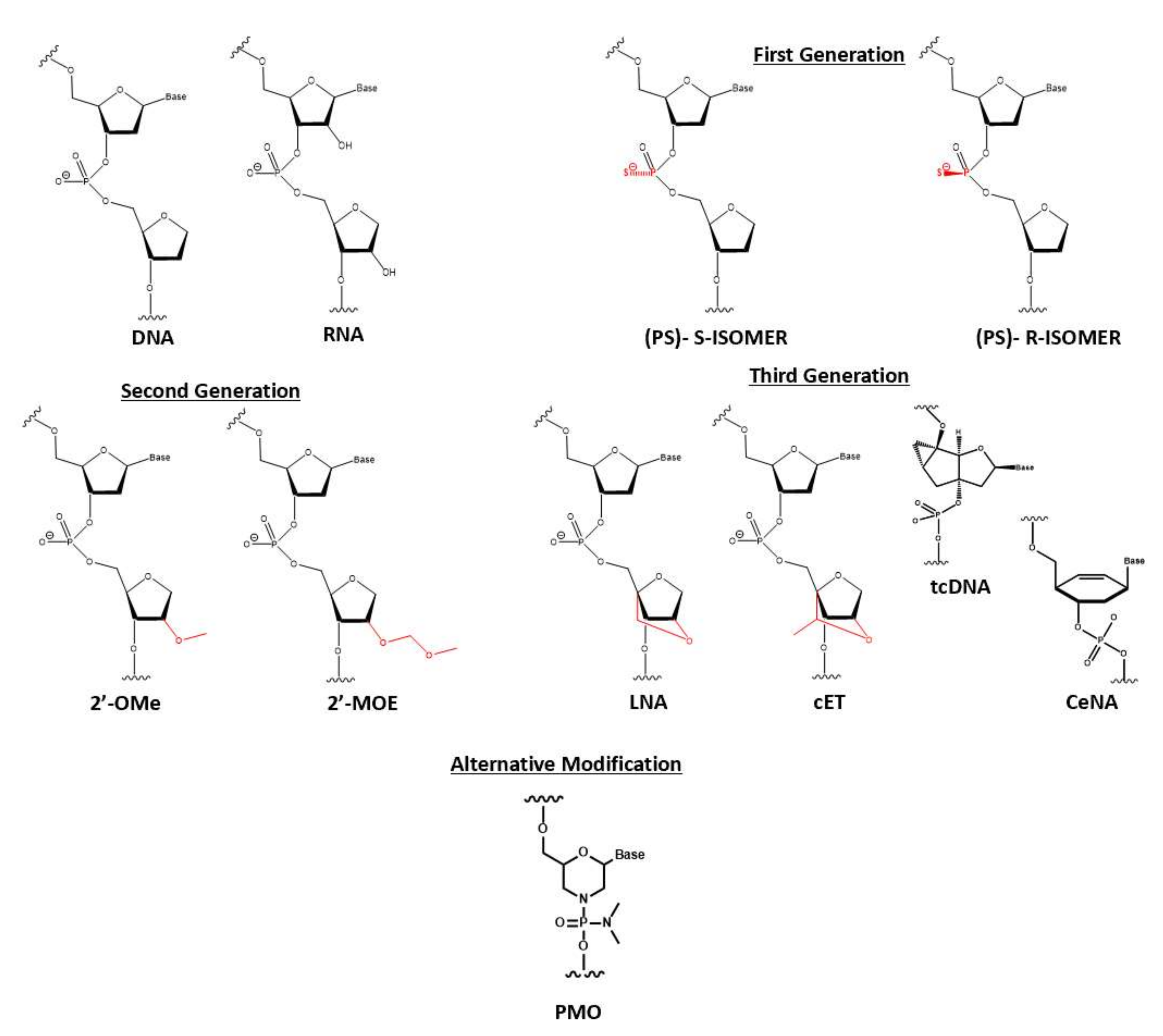 Pharmaceutics 14 00342 g004