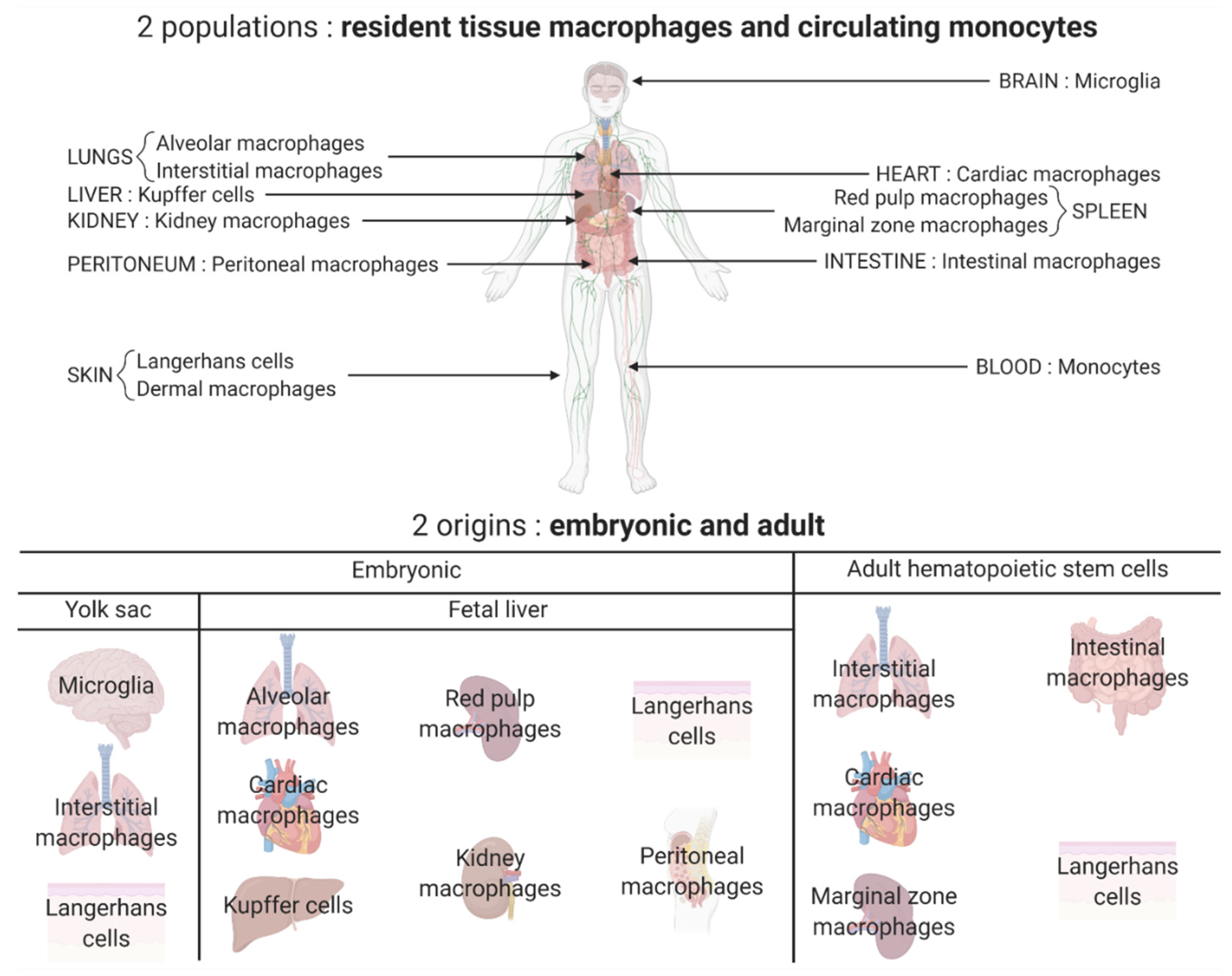 Pharmaceutics 14 00344 g001 Pharmaceutics 14 00344 g001