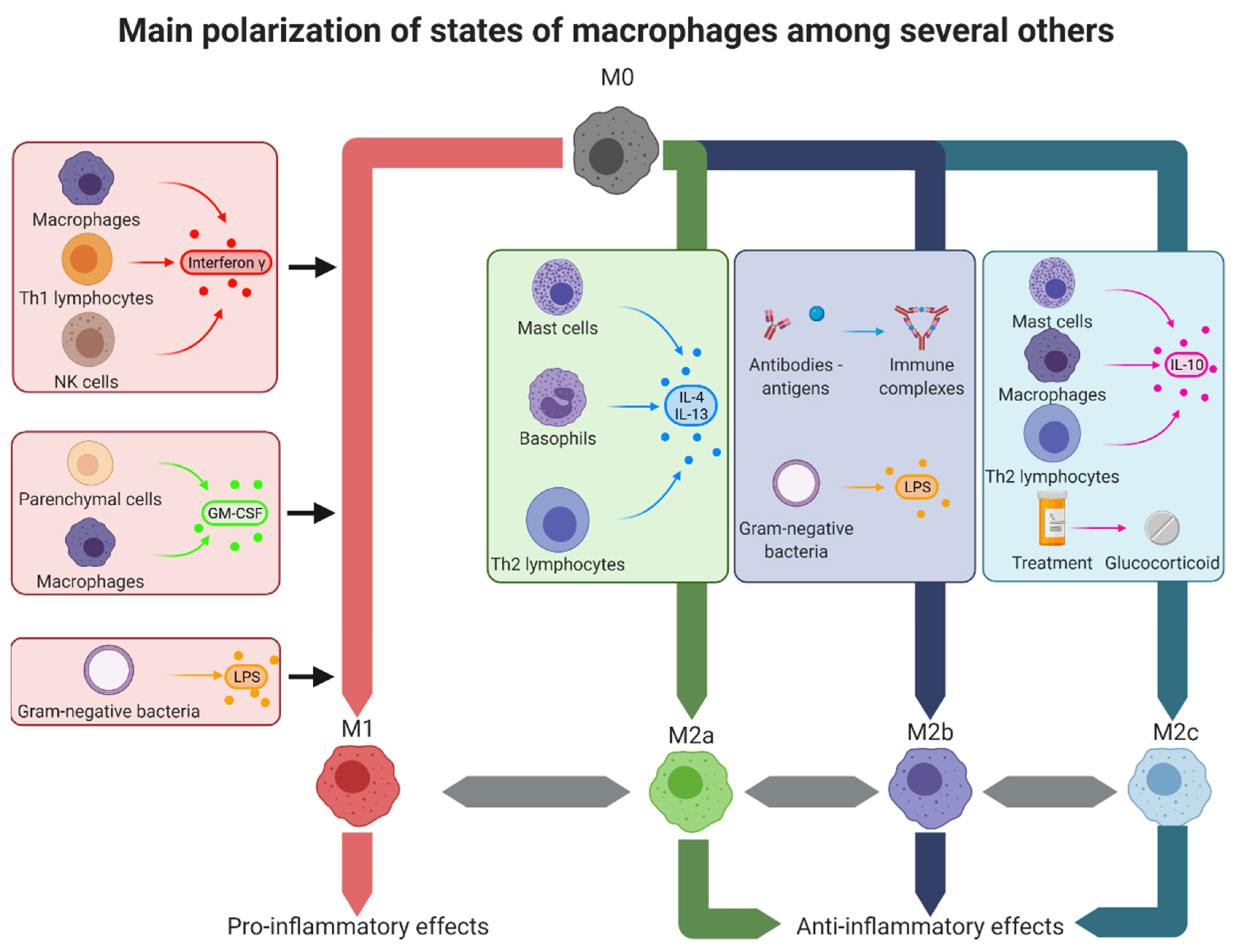 Pharmaceutics 14 00344 g002 Pharmaceutics 14 00344 g002