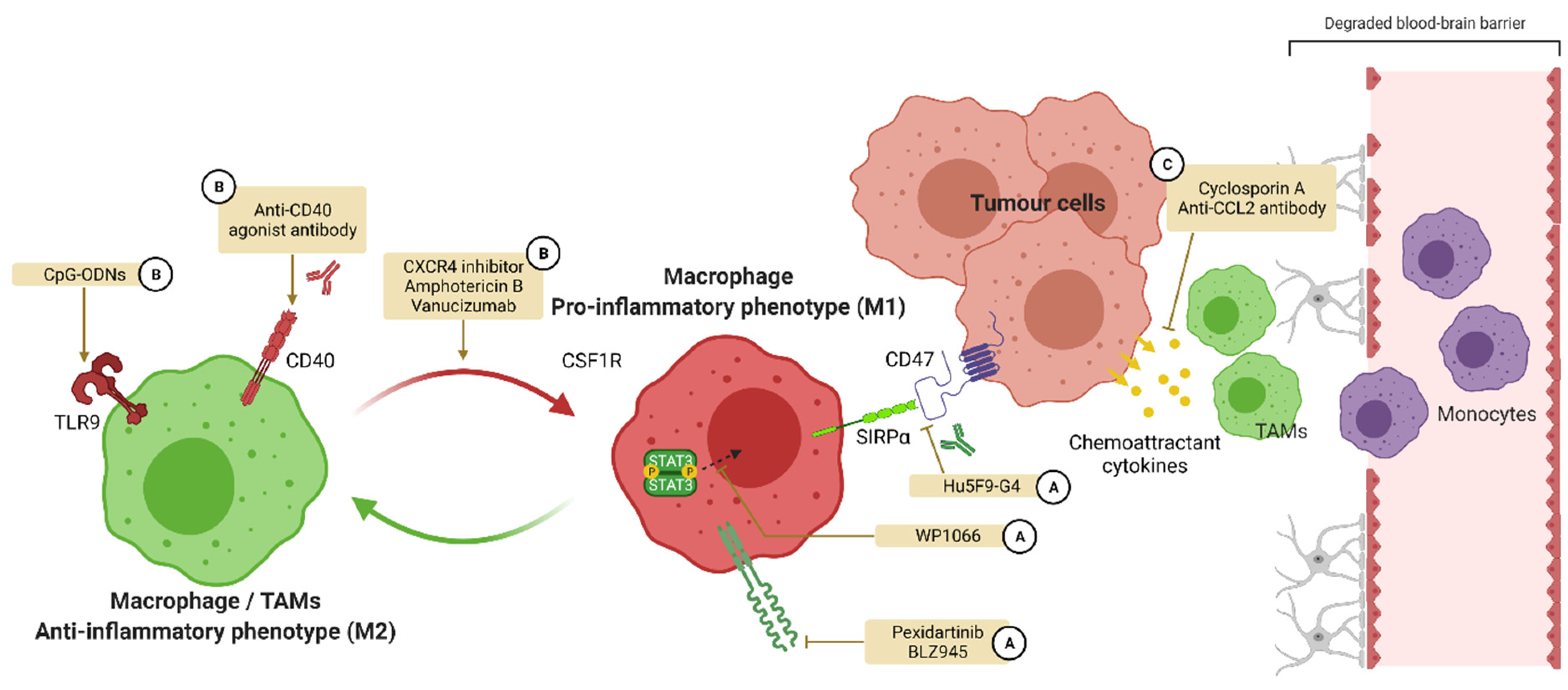 Pharmaceutics 14 00344 g005 Pharmaceutics 14 00344 g005