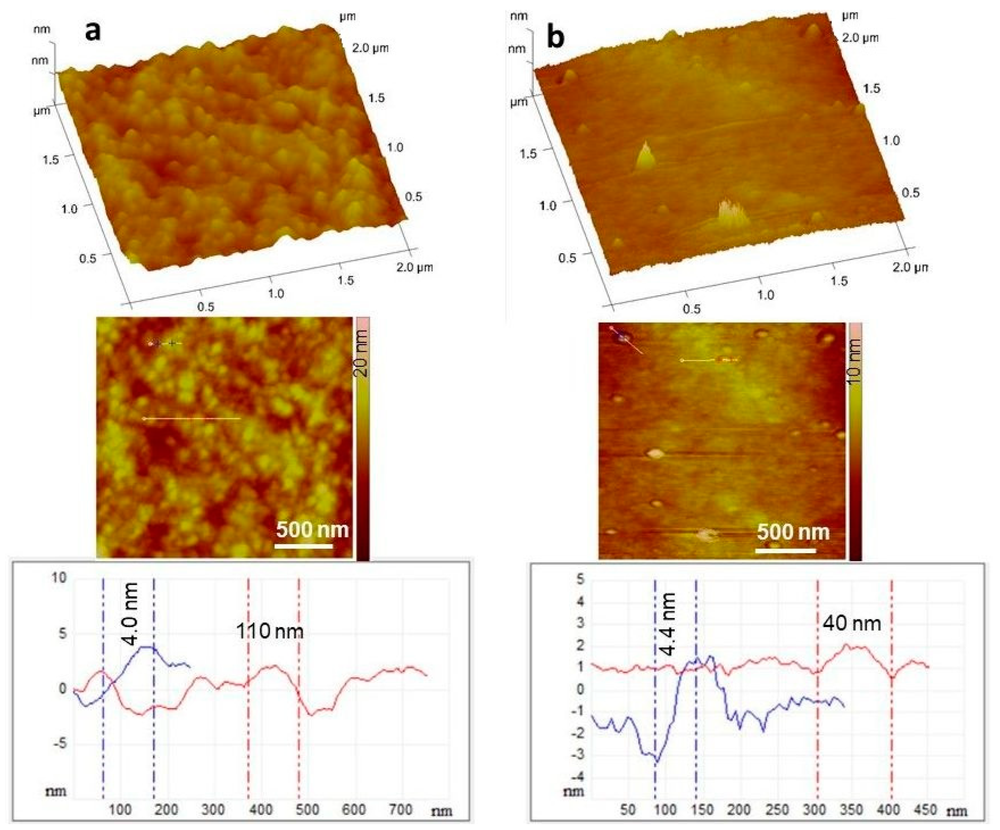 Pharmaceutics 14 00345 g007