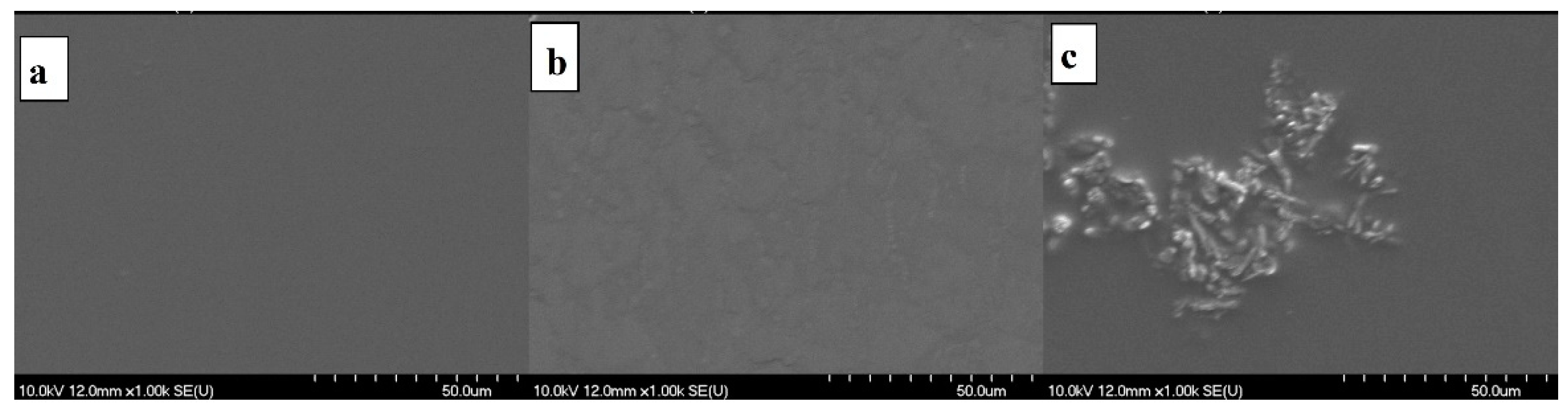 Pharmaceutics 14 00345 g009