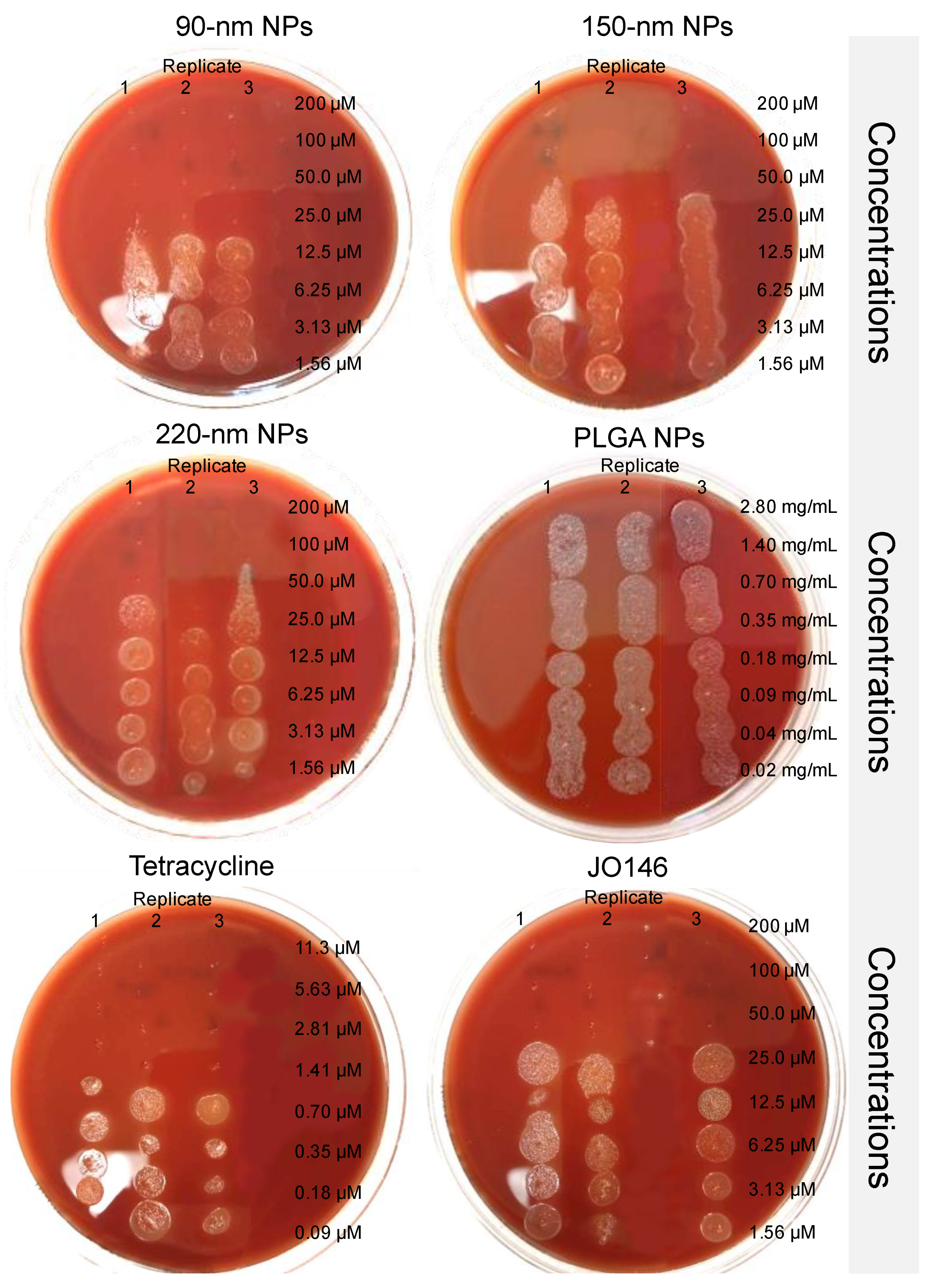 Pharmaceutics 14 00348 g007