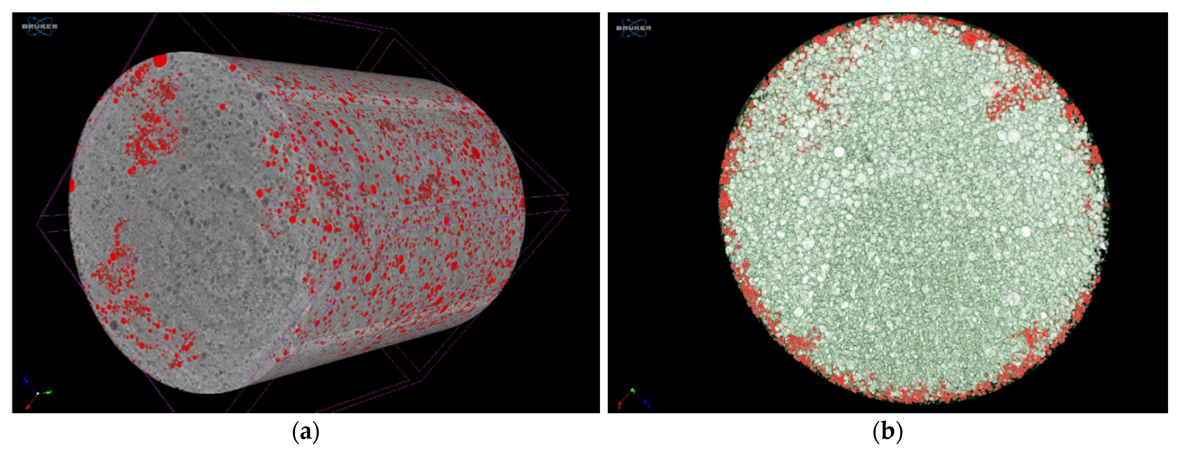 Pharmaceutics 14 00350 g007