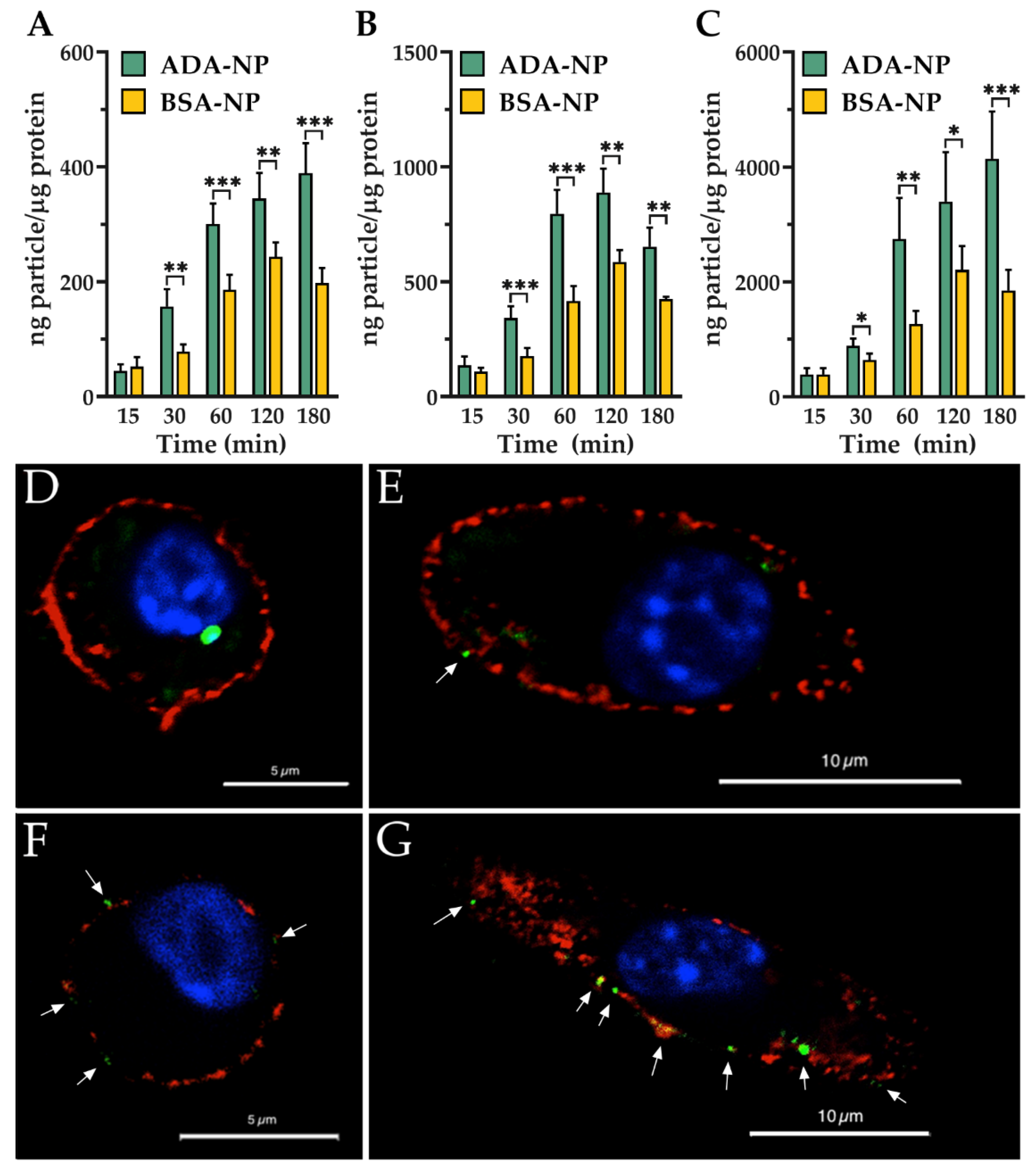 Pharmaceutics 14 00352 g006
