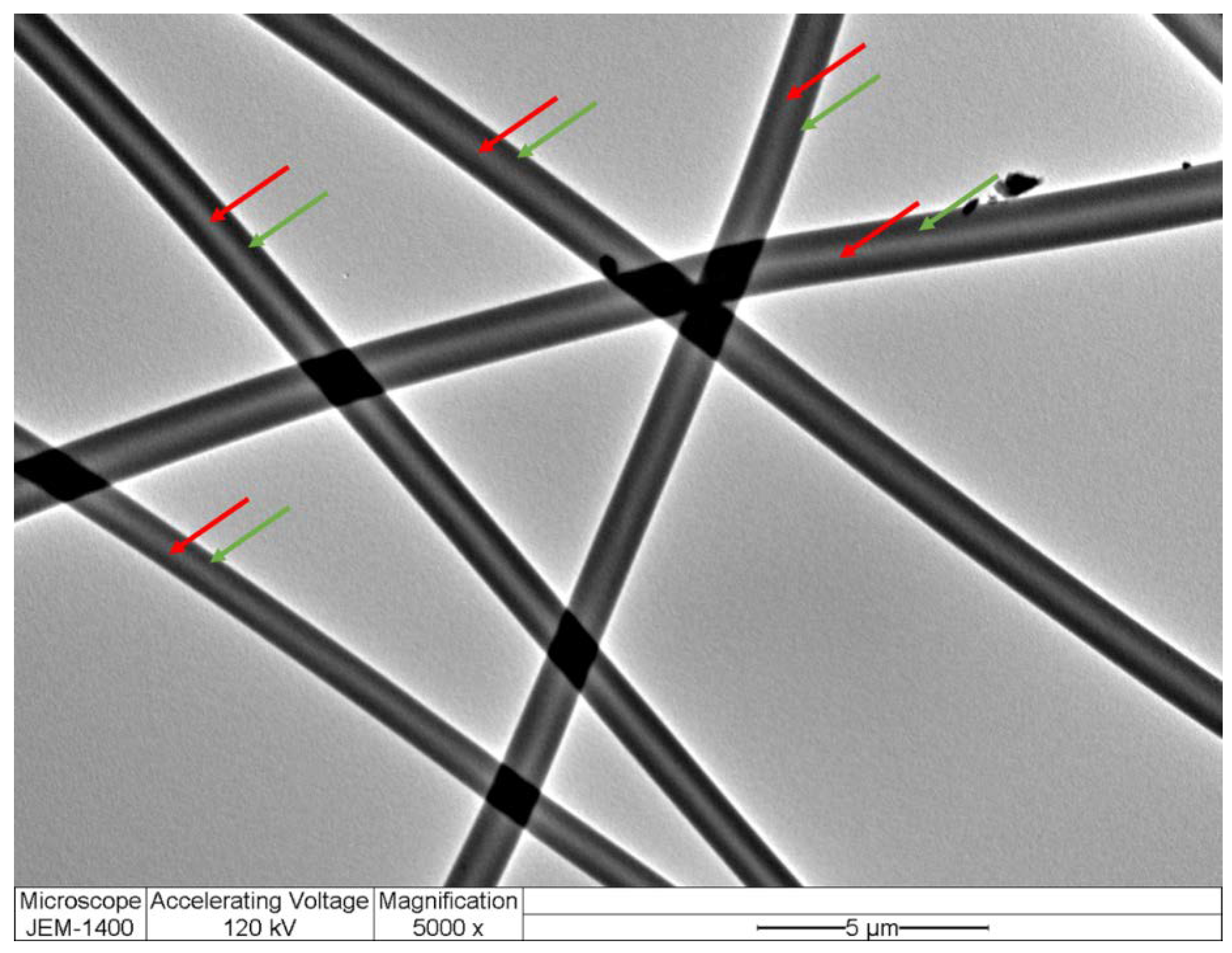 Pharmaceutics 14 00358 g002