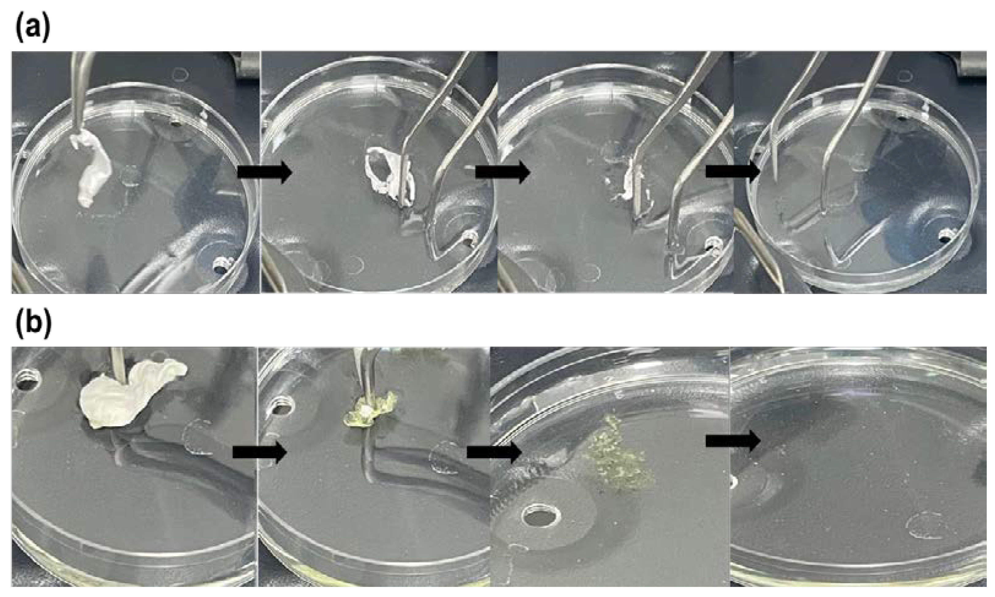 Pharmaceutics 14 00358 g005