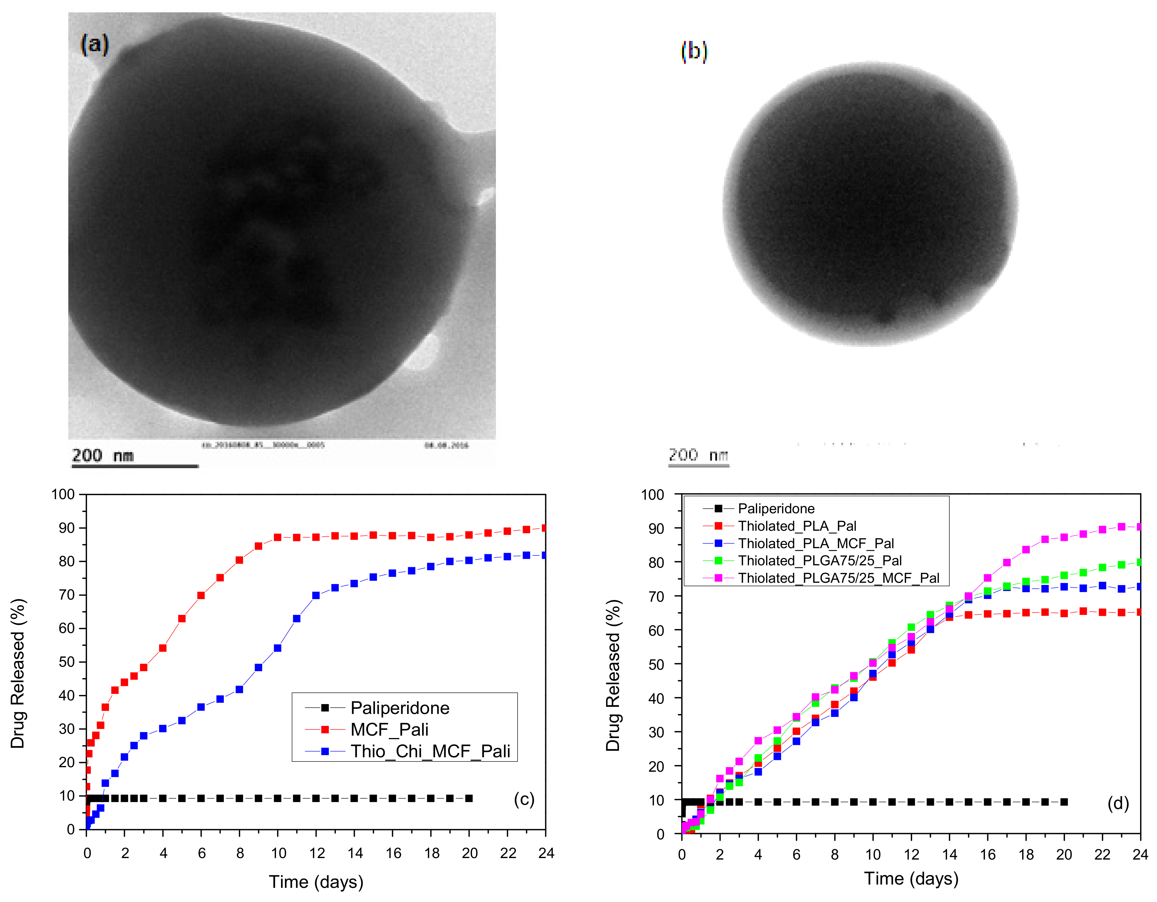 Pharmaceutics 14 00359 g005