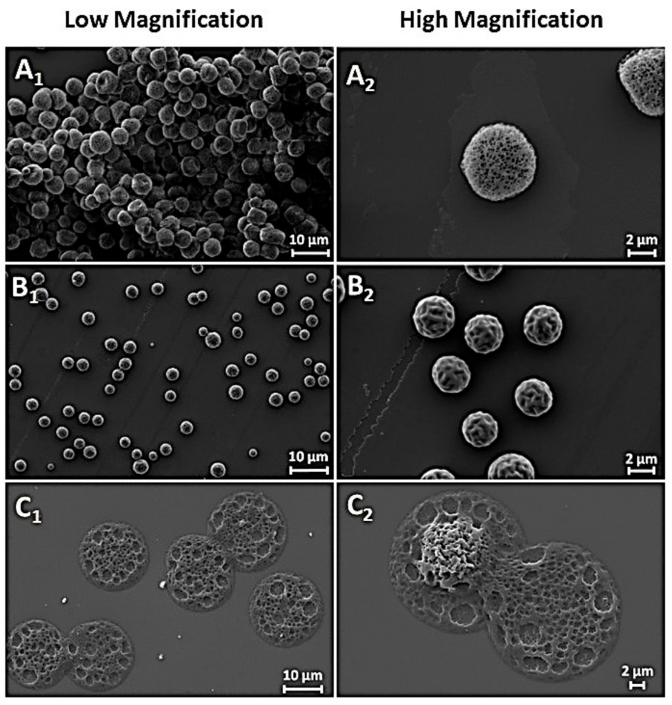 Pharmaceutics 14 00359 g006