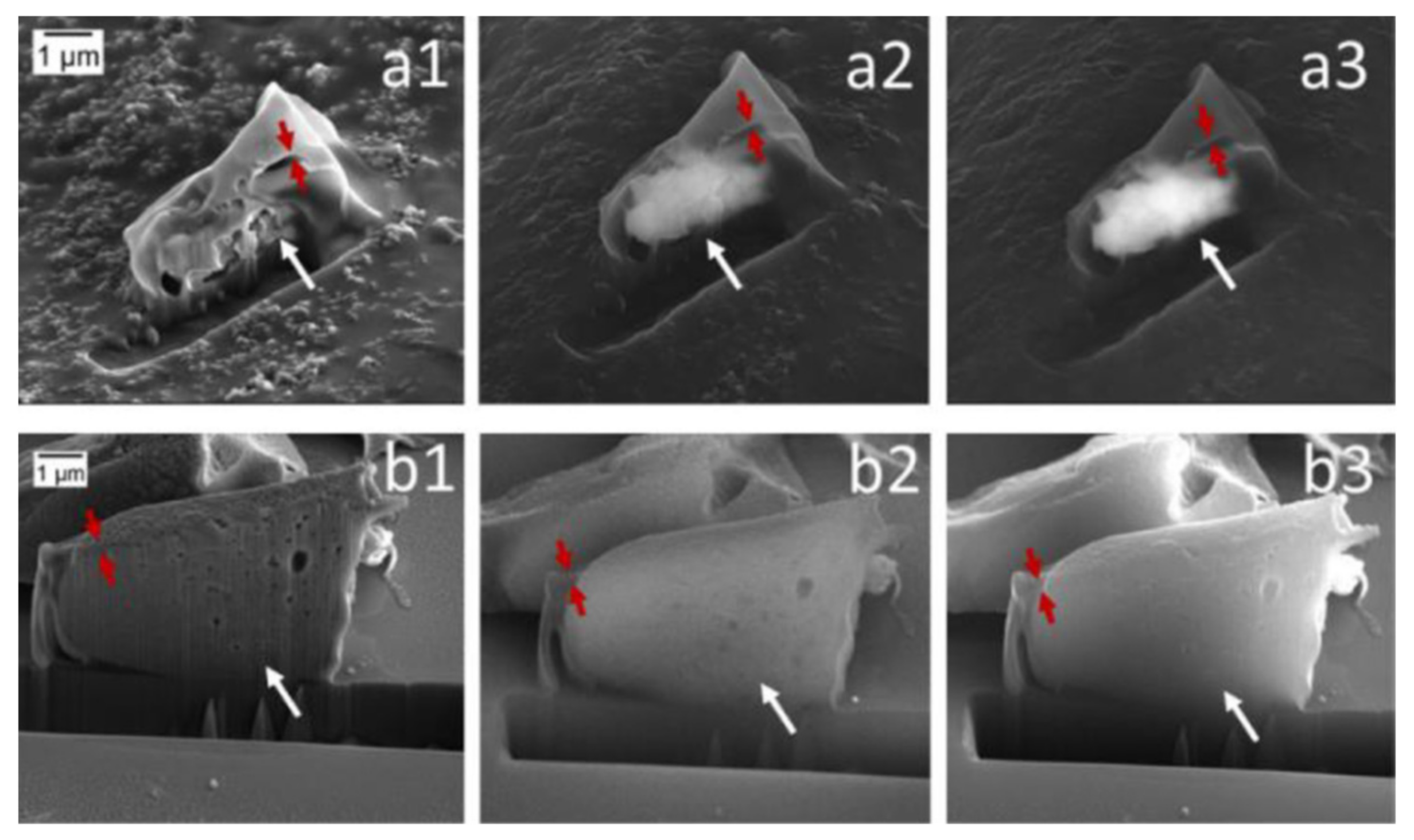 Pharmaceutics 14 00359 g008