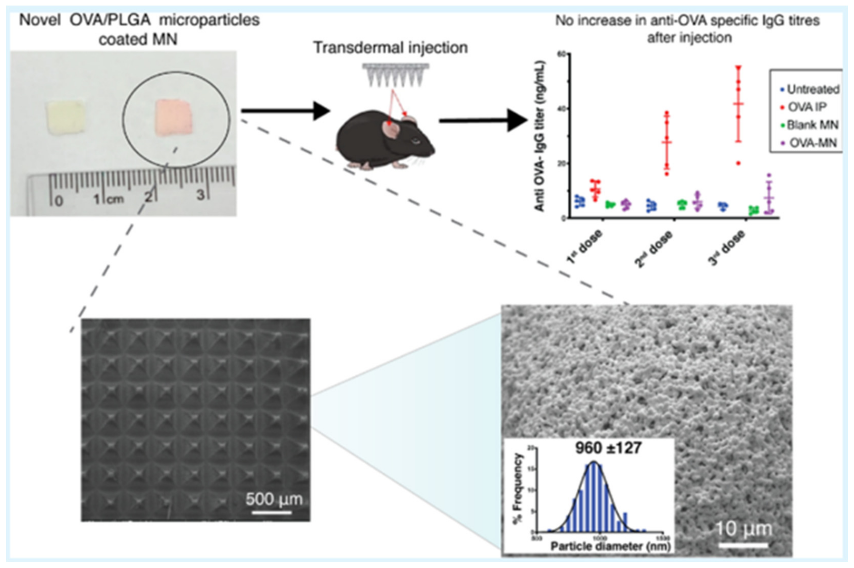 Pharmaceutics 14 00359 g010