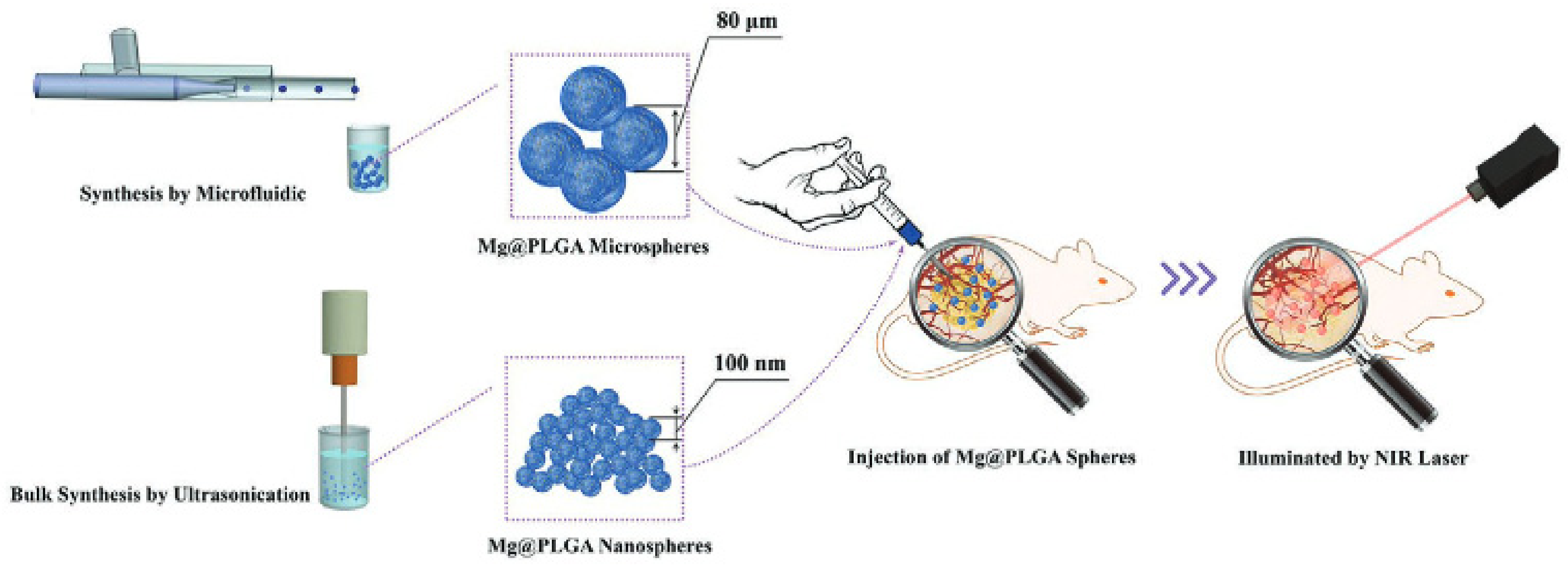 Pharmaceutics 14 00359 g012