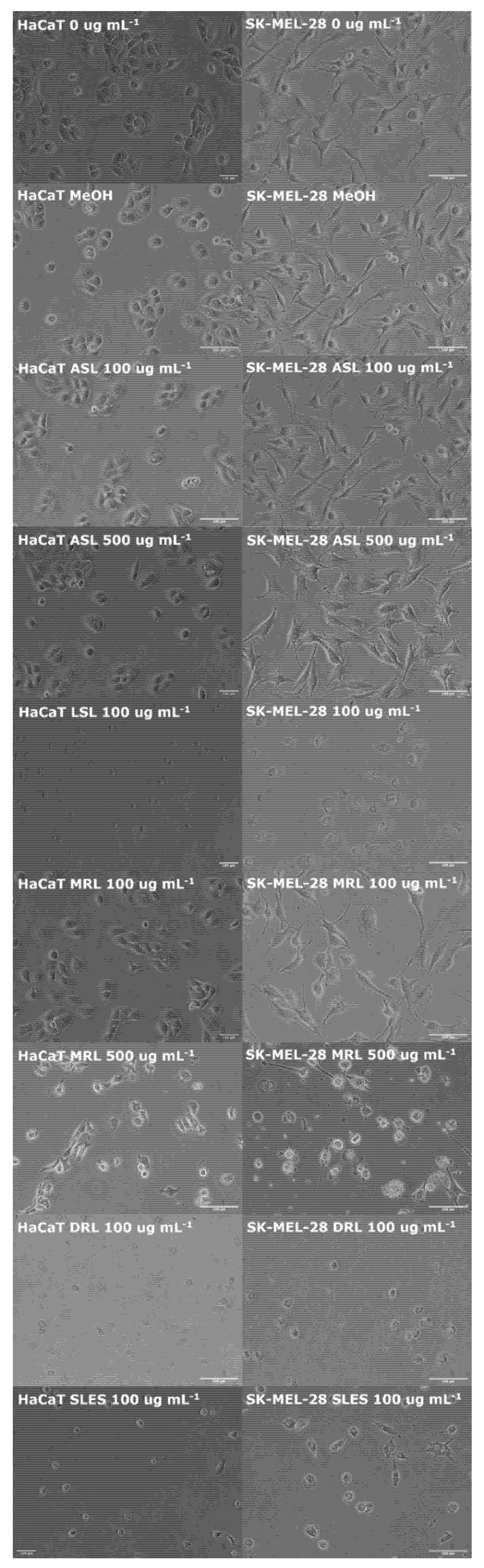 Pharmaceutics 14 00360 g002