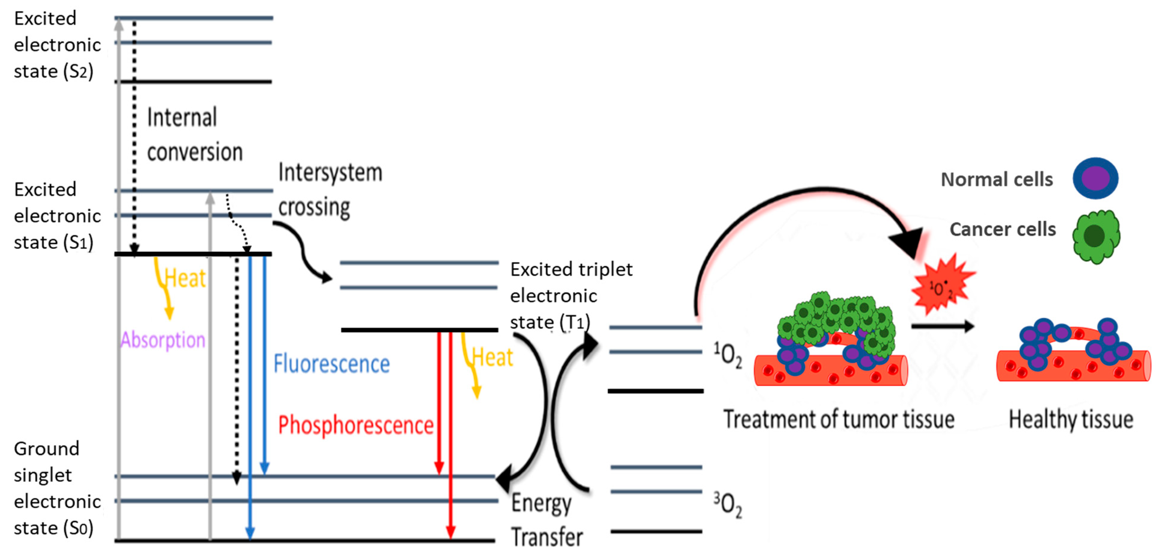 Pharmaceutics 14 00362 g006