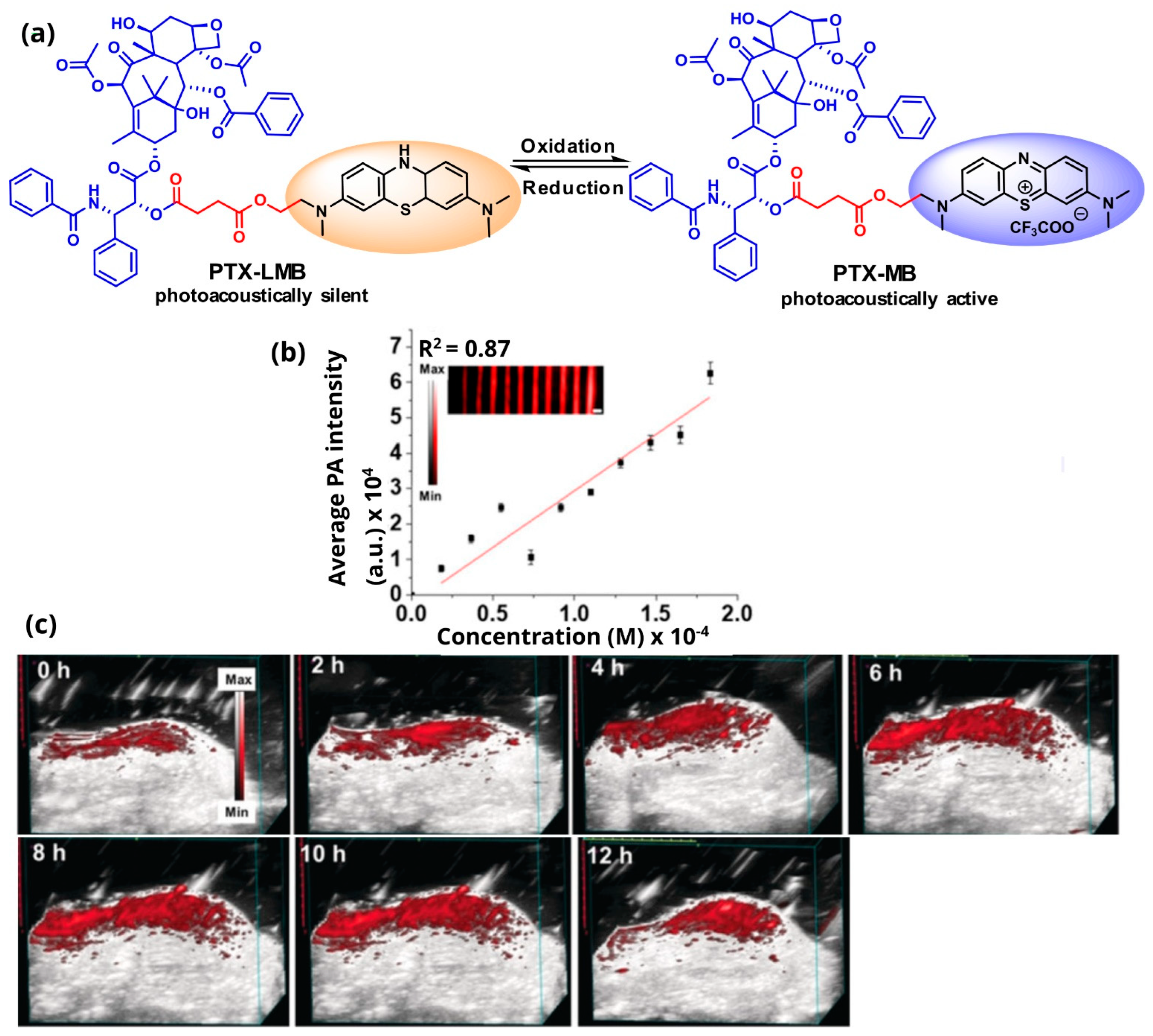 Pharmaceutics 14 00362 g009
