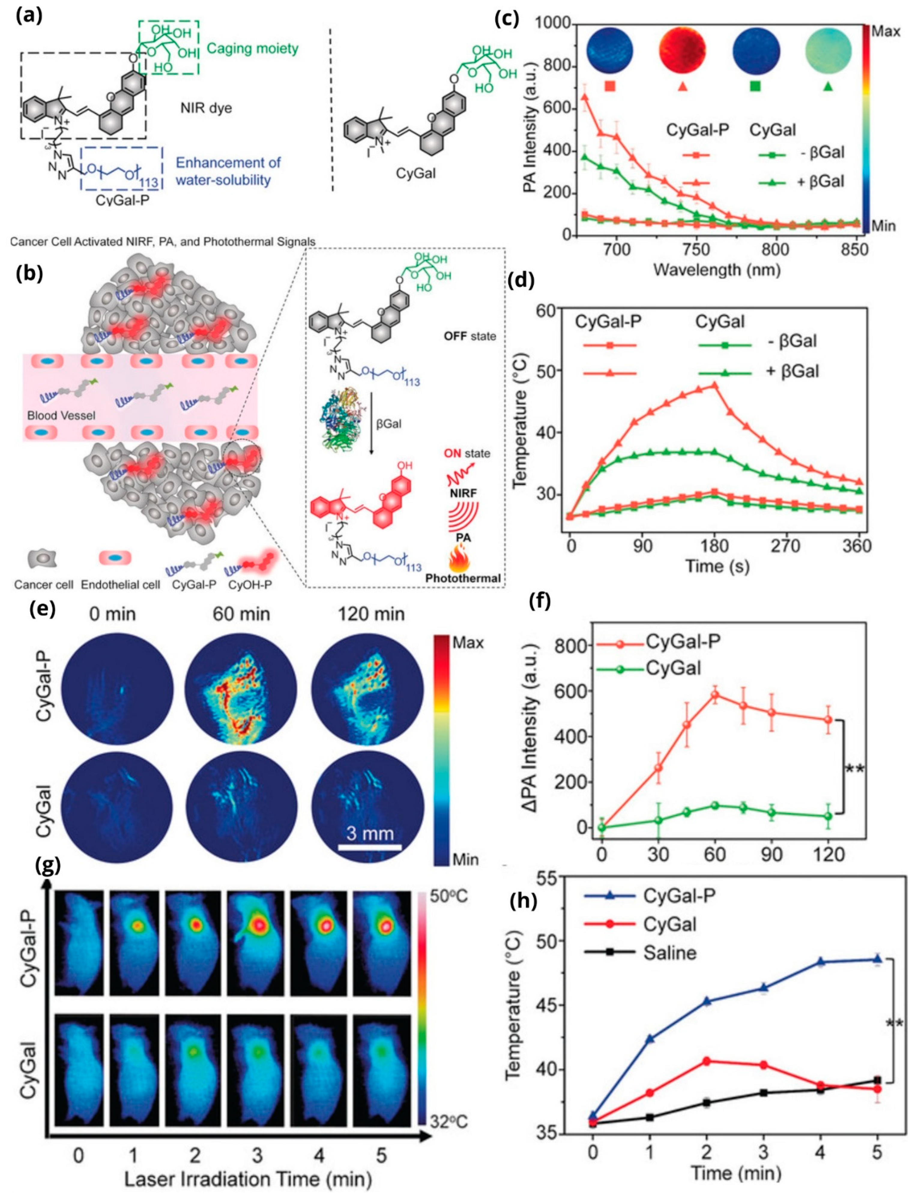 Pharmaceutics 14 00362 g013