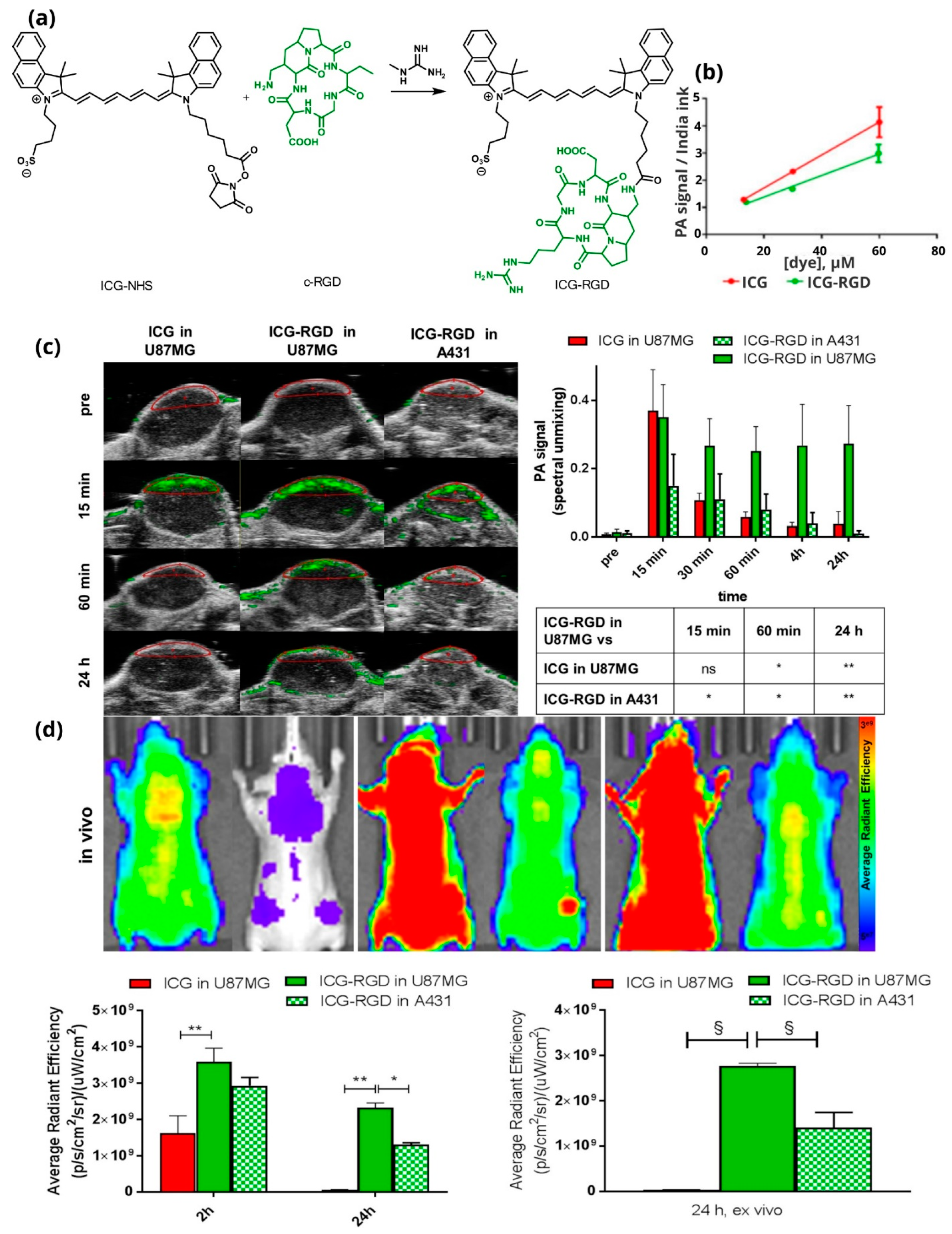 Pharmaceutics 14 00362 g015