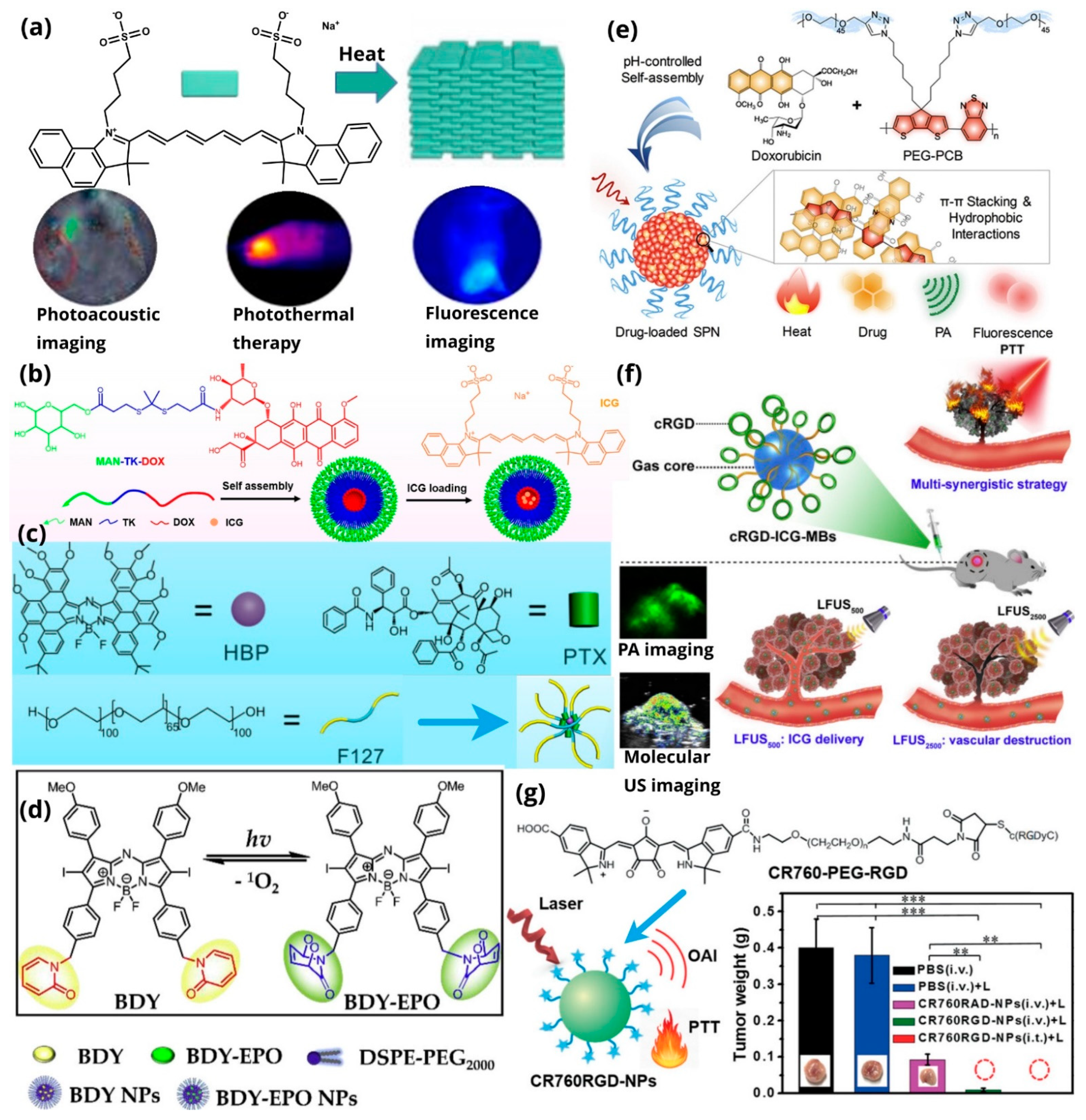 Pharmaceutics 14 00362 g016