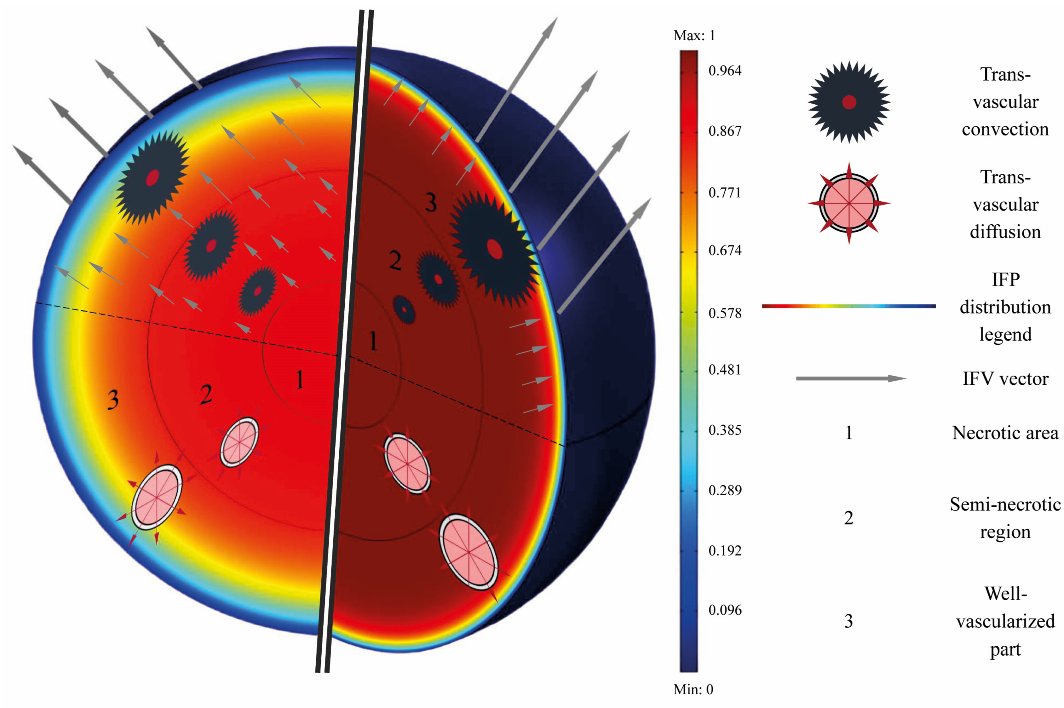 Pharmaceutics 14 00363 g003