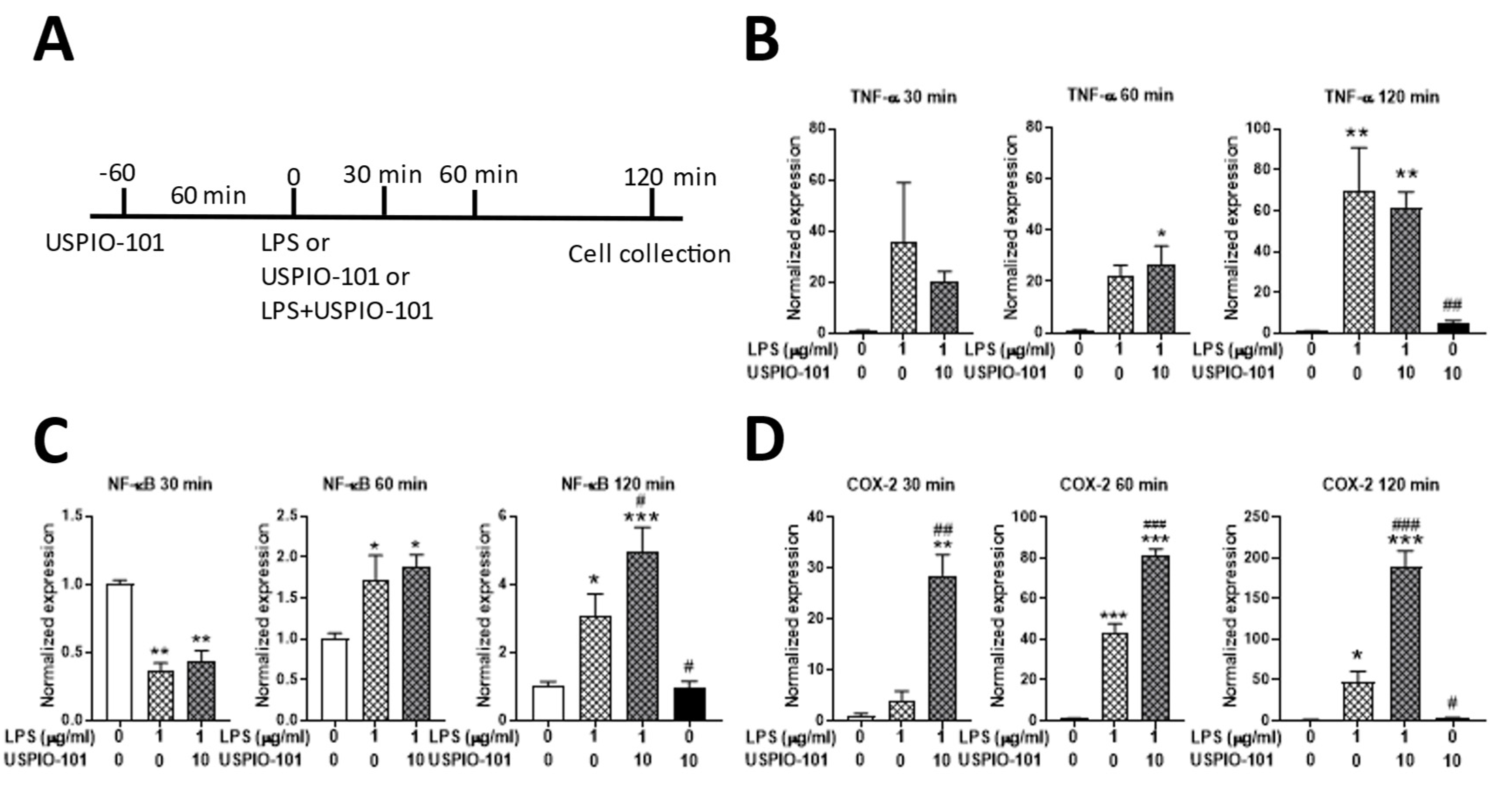 Pharmaceutics 14 00366 g006
