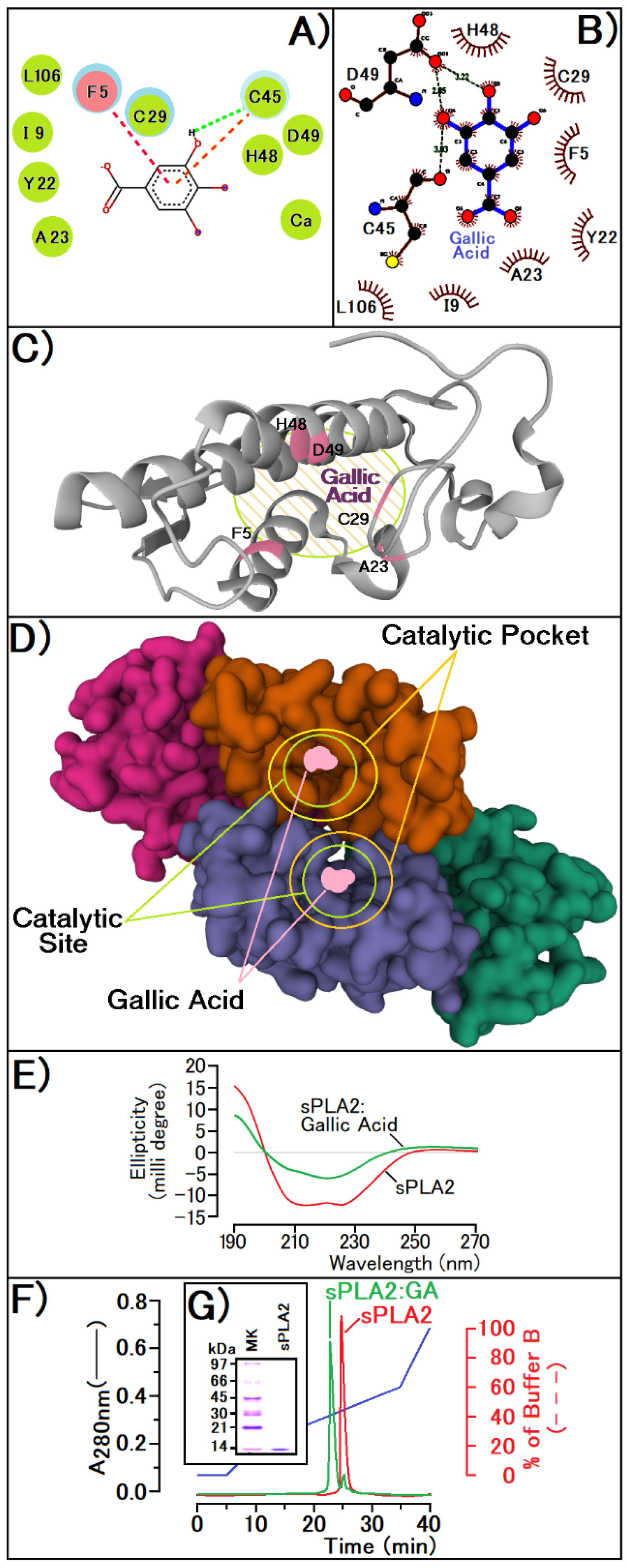Pharmaceutics 14 00368 g002