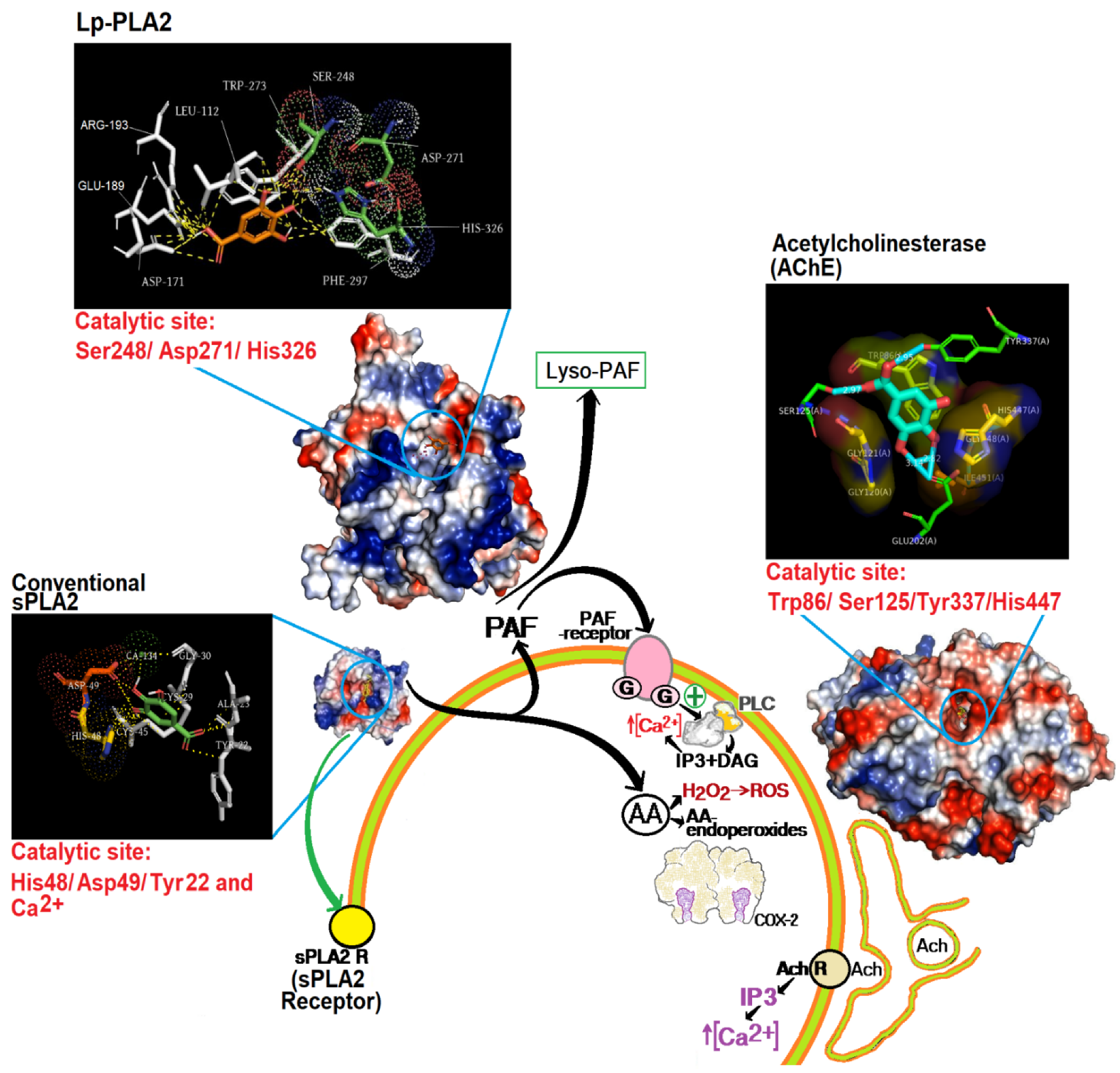Pharmaceutics 14 00368 g003