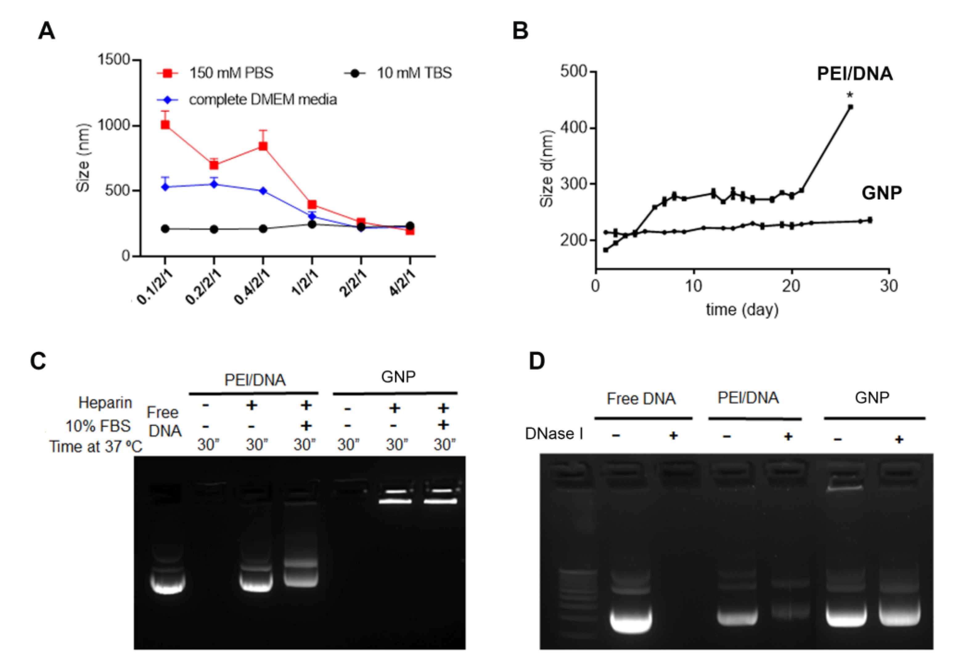 Pharmaceutics 14 00373 g001